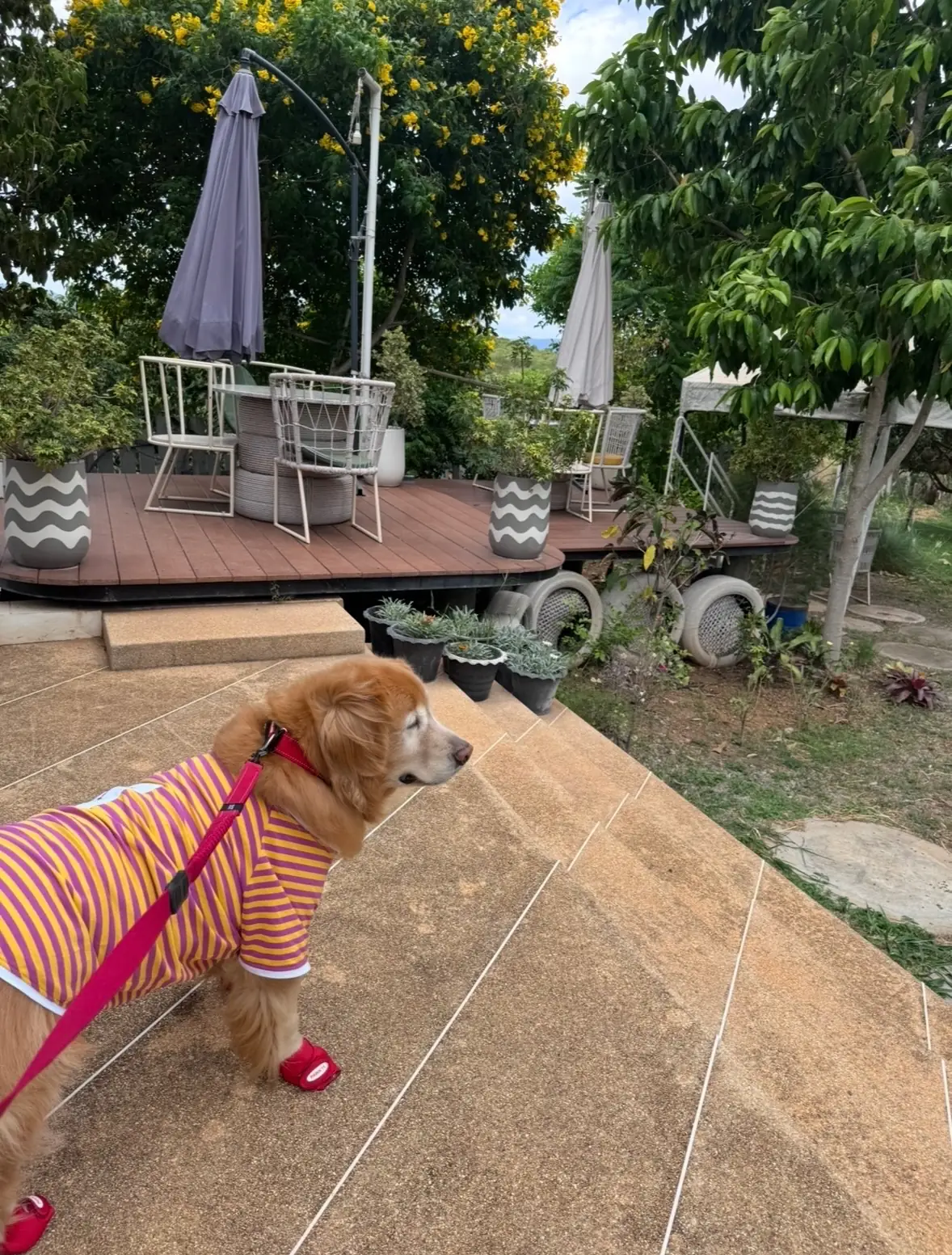 บ้านทุเรียน เขาใหญ่ overall image 2