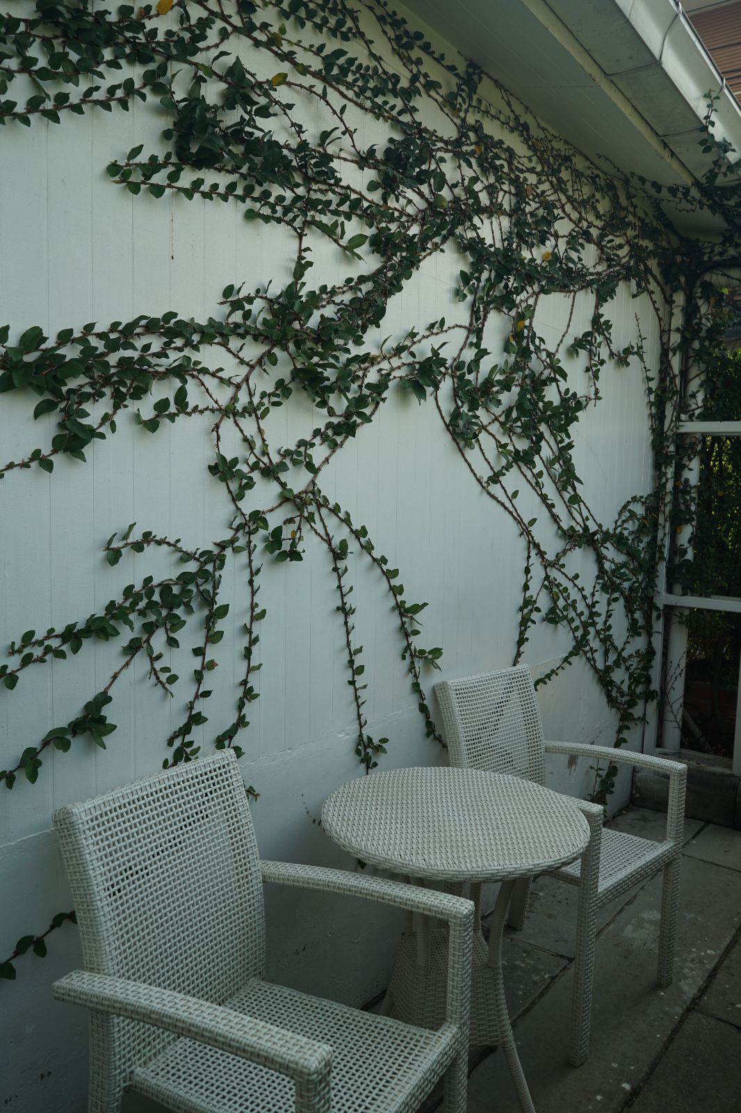 Emmie's ambiance image 26