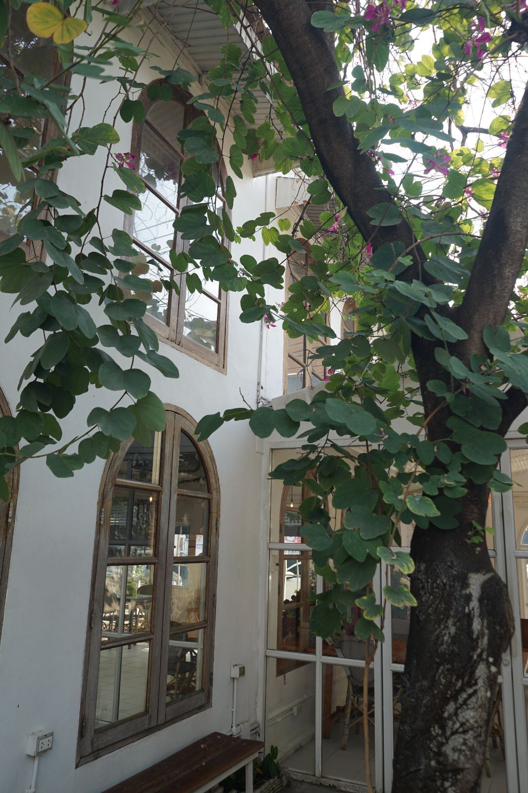 Emmie's ambiance image 30