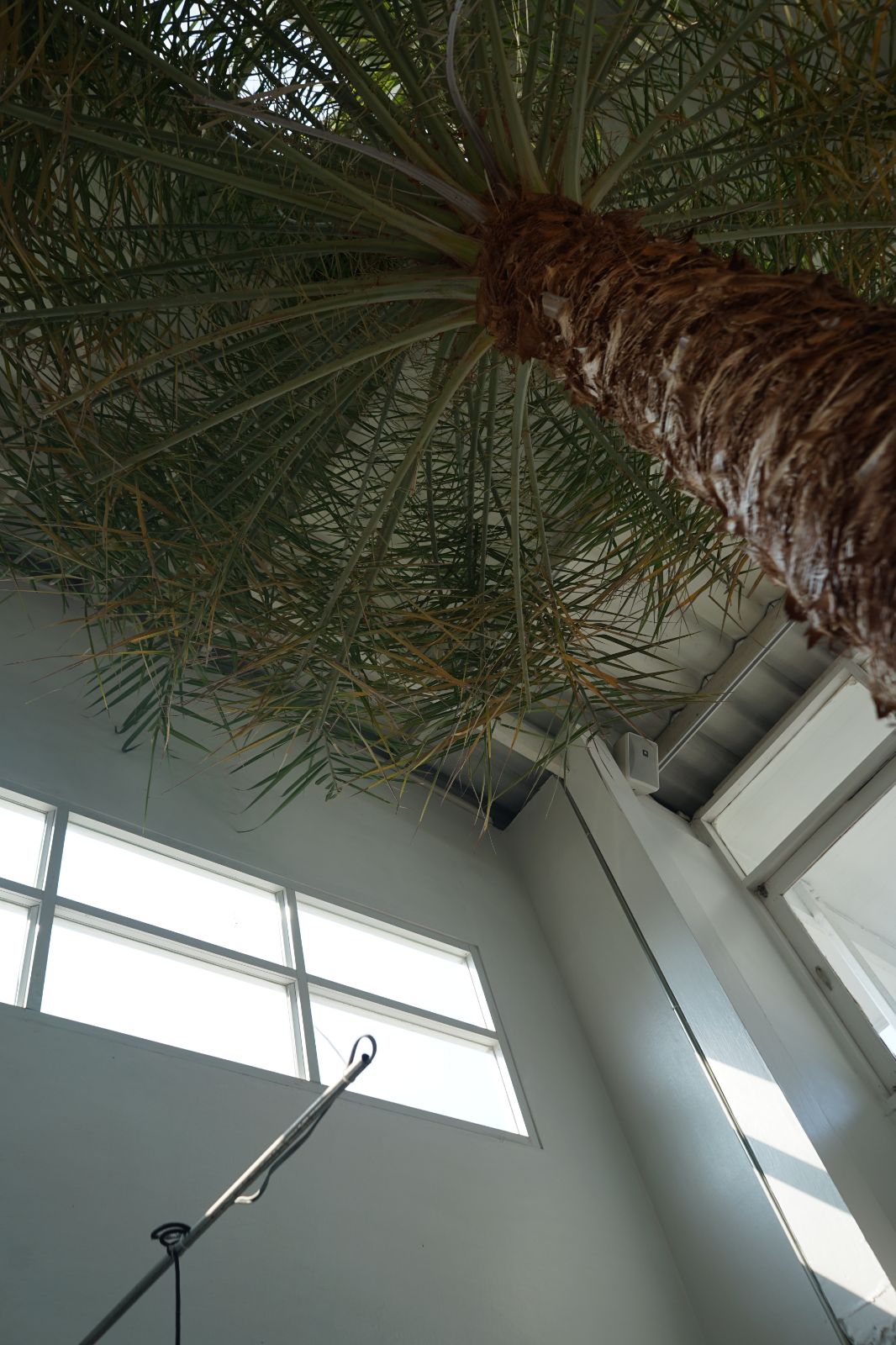 Emmie's ambiance image 17