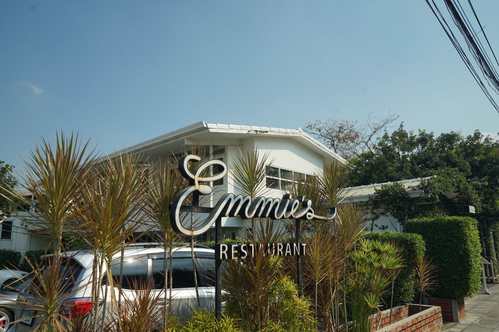 Emmie's hero image 7