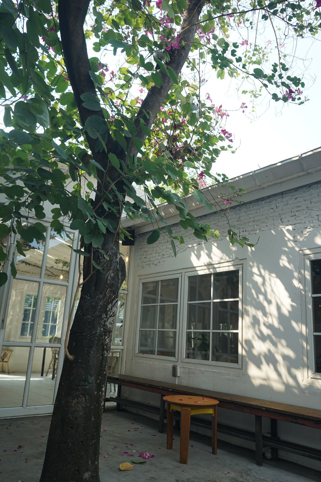 Emmie's ambiance image 22