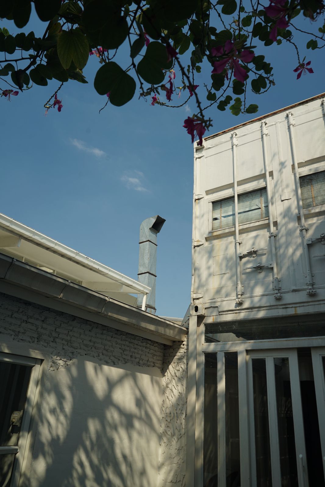 Emmie's hero image 6