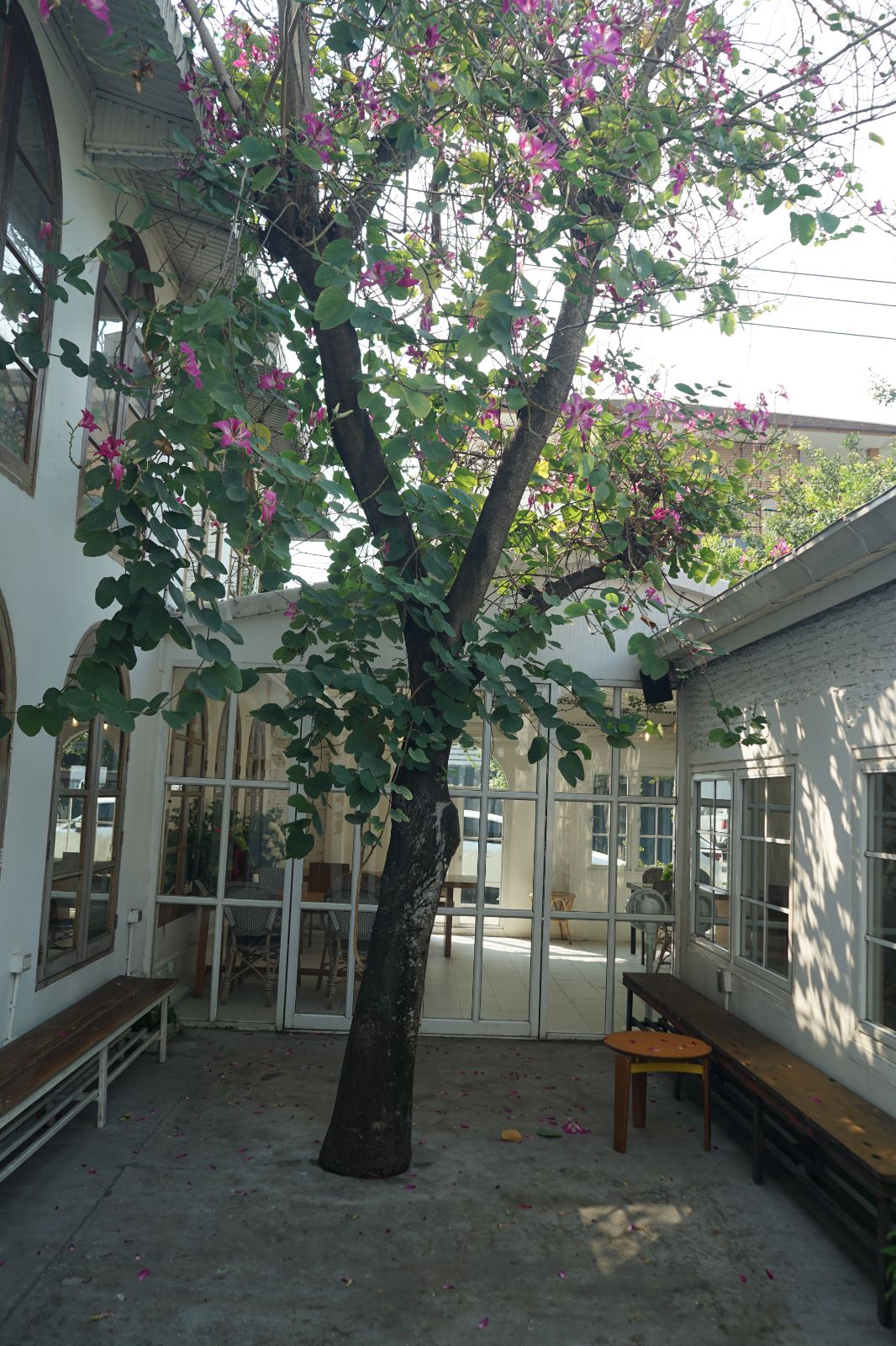 Emmie's ambiance image 24