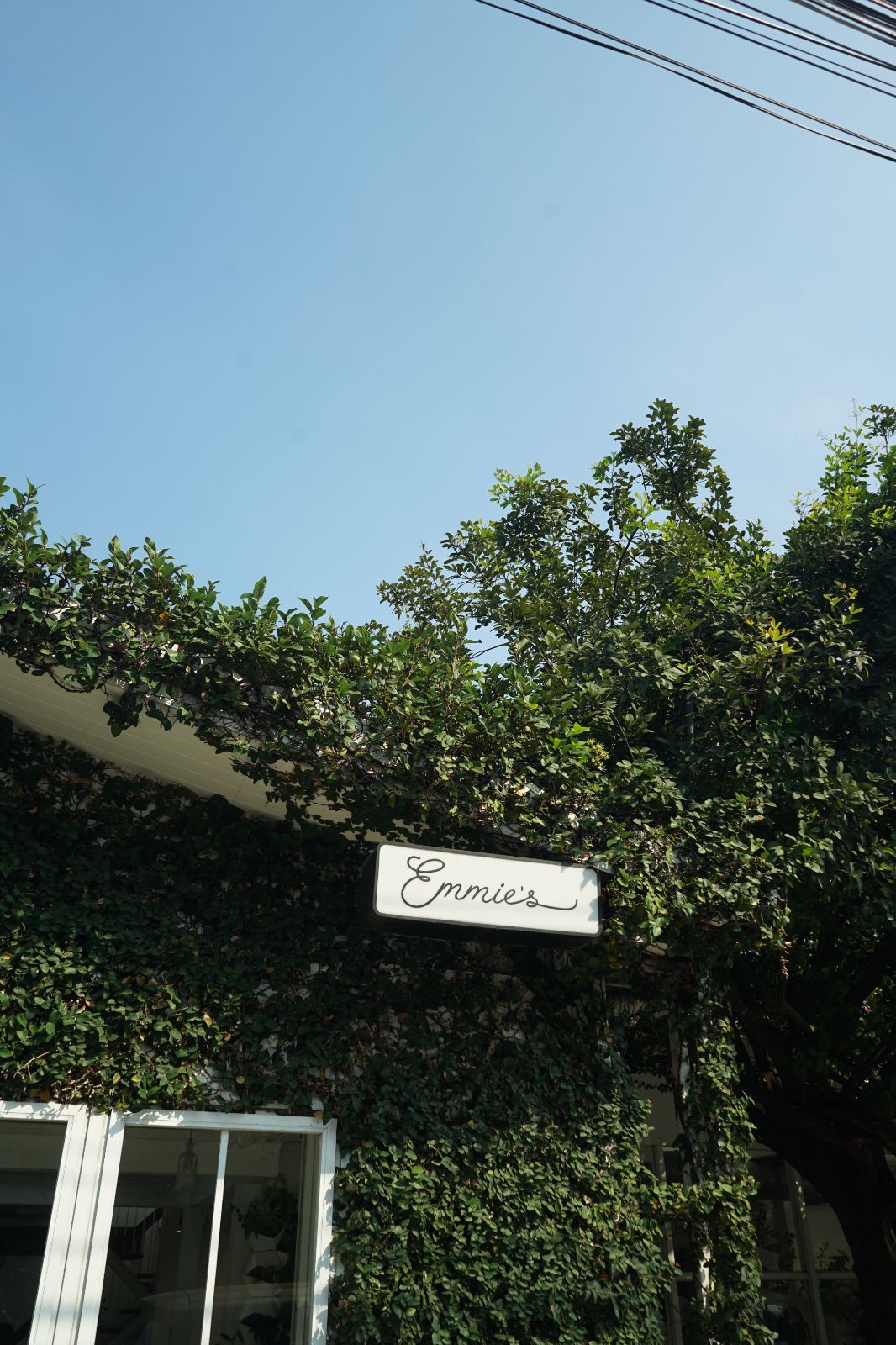 Emmie's hero image 2