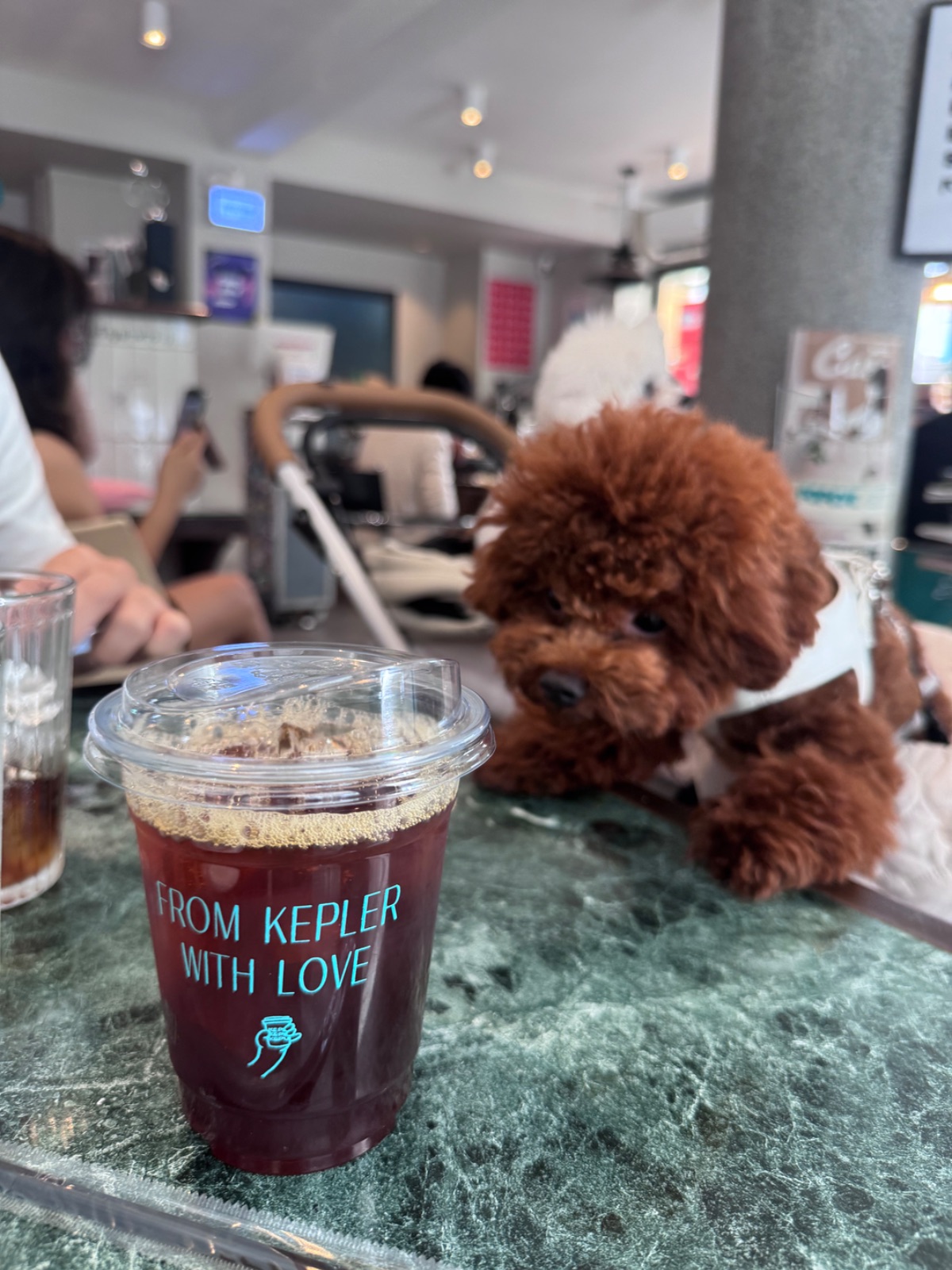 Kepler BKK pets image 4