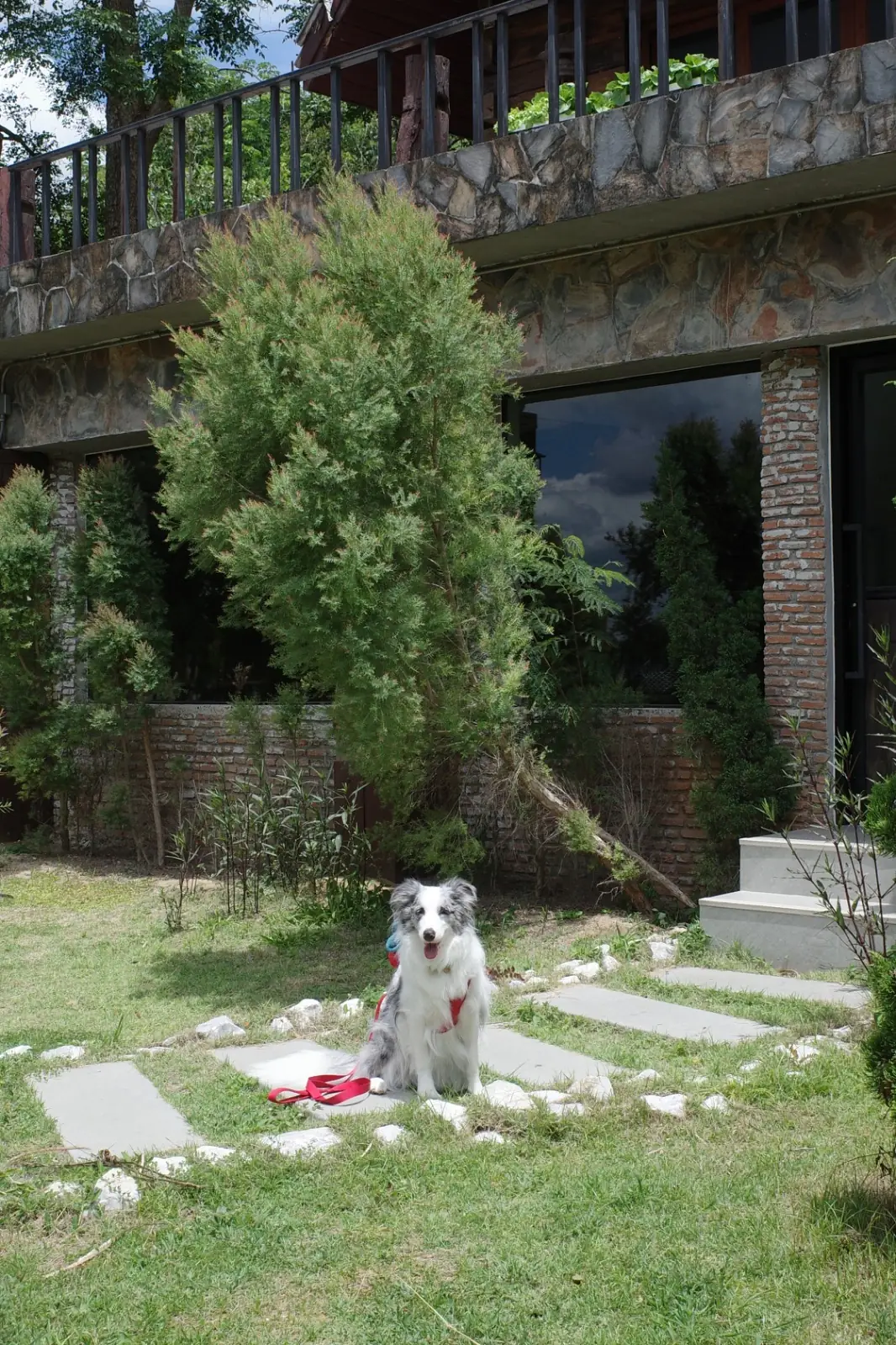 Choc a bloc Cafe & Bistro pets image 6