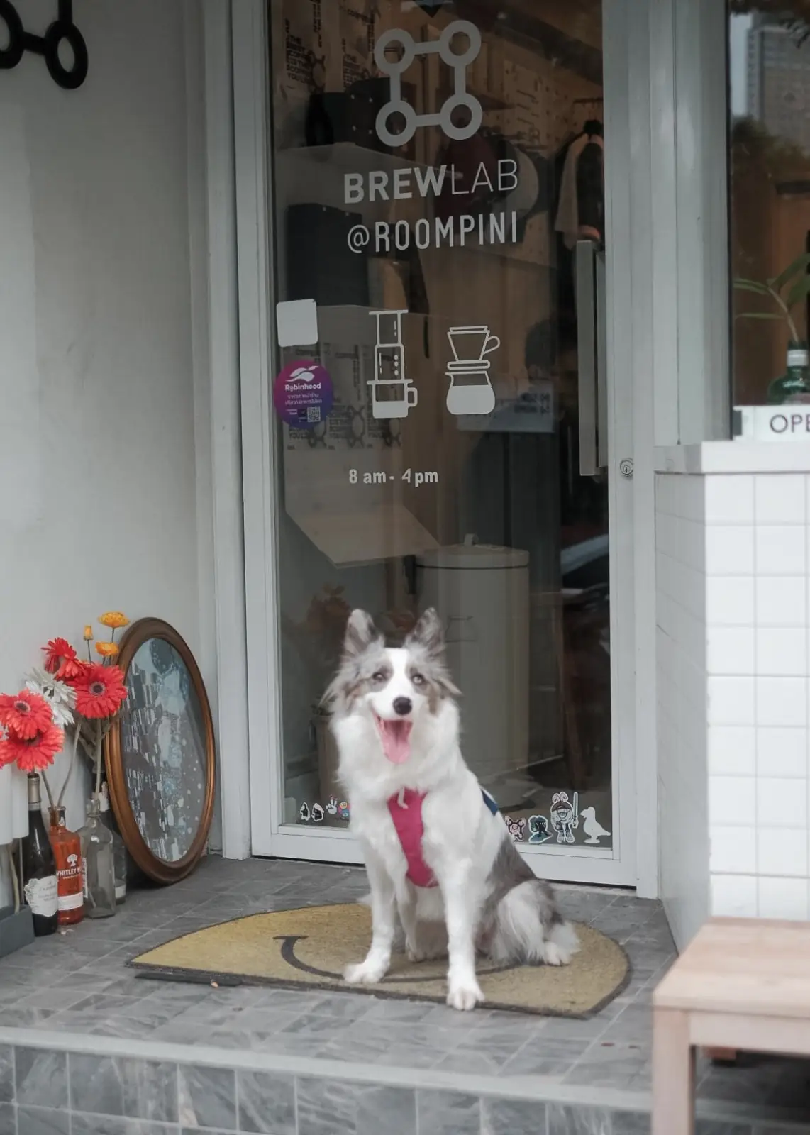 BrewLab Cafe - Lumpini pets image 6