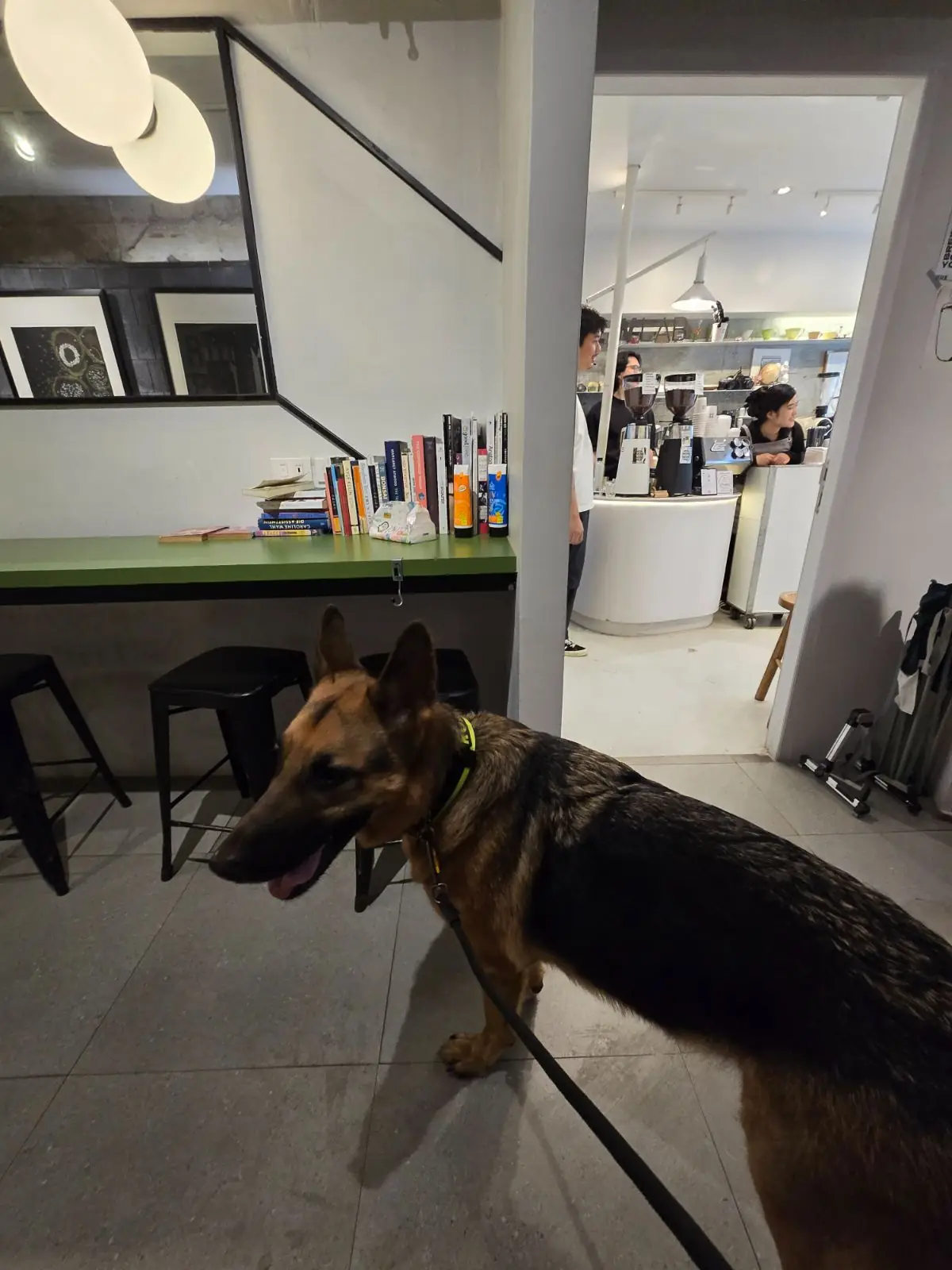 BrewLab Cafe - Lumpini pets image 2