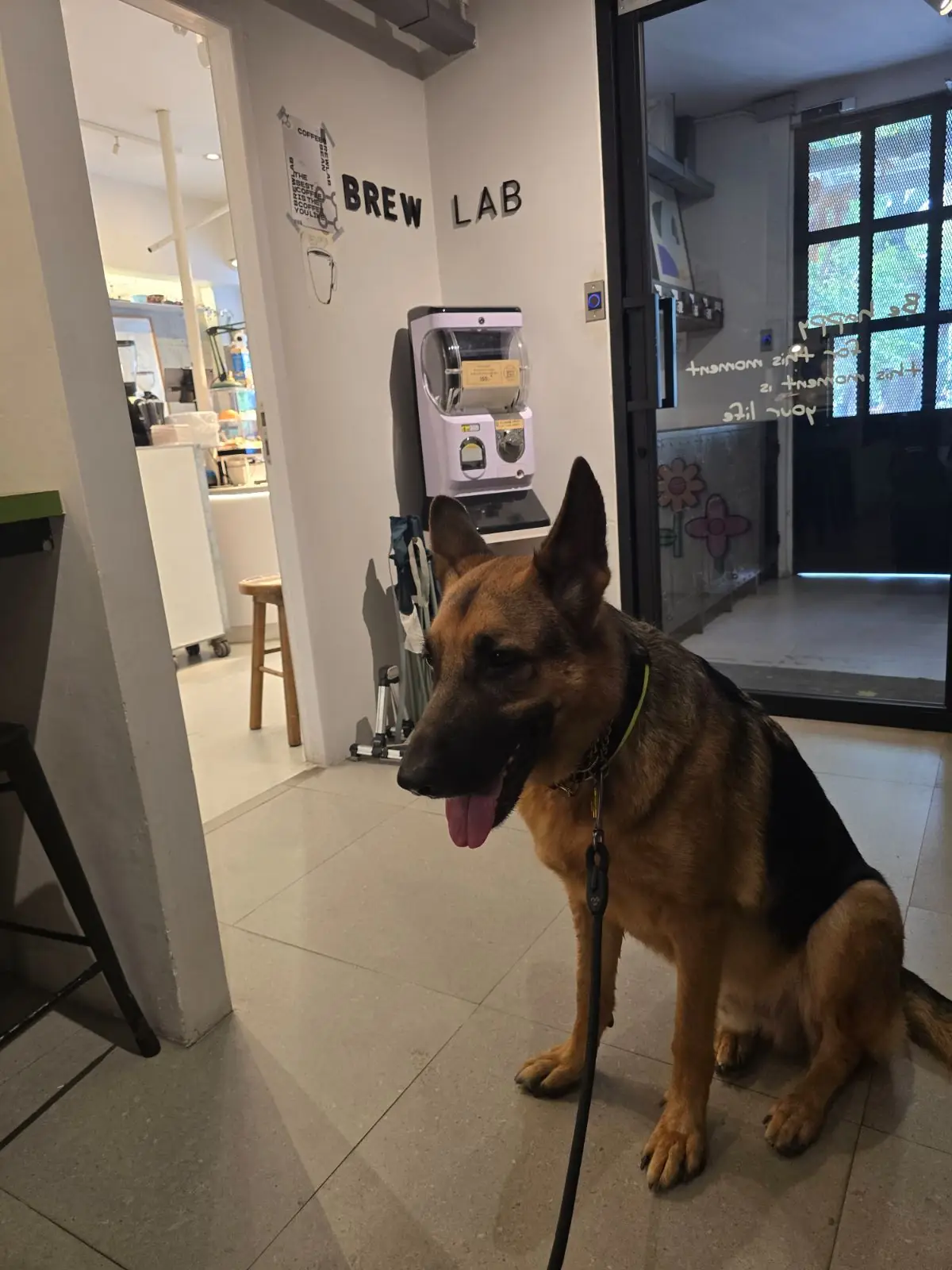 BrewLab Cafe - Lumpini pets image 1