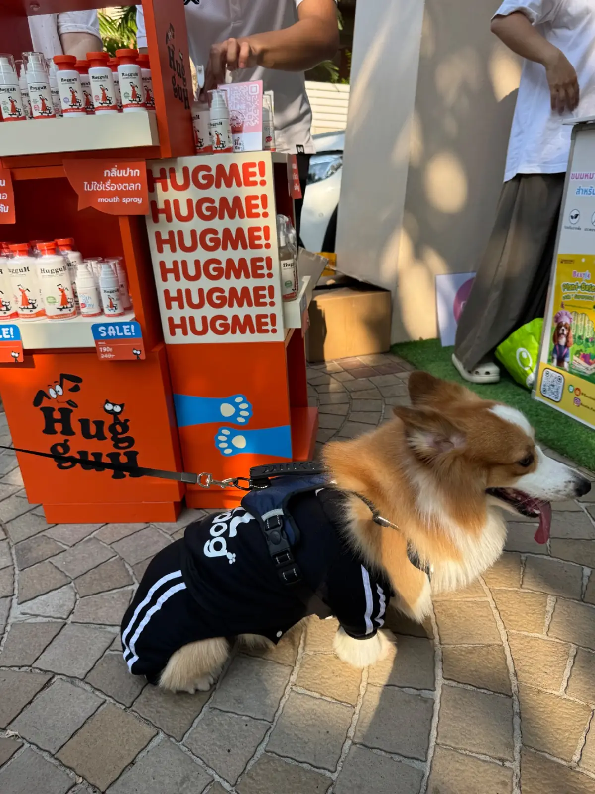 Hey My Paws pets image 1