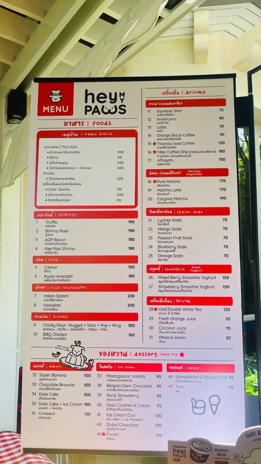 Hey My Paws other image 2