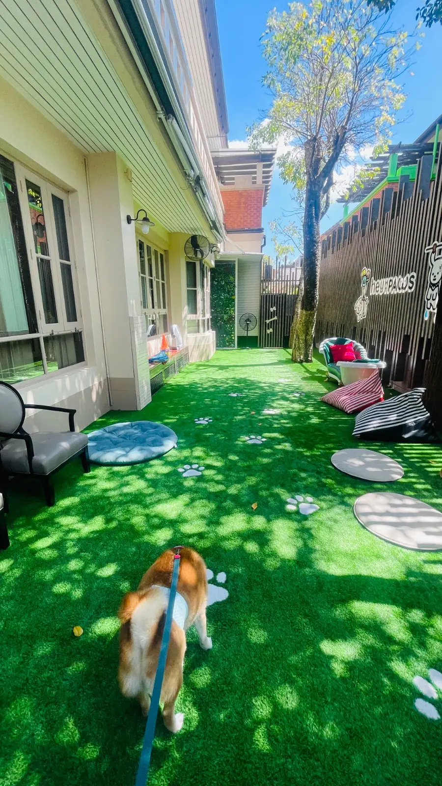 Hey My Paws pets image 1