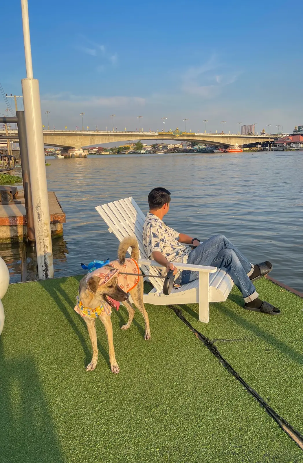 KlaiKret Cafe & Restaurant pets image 1