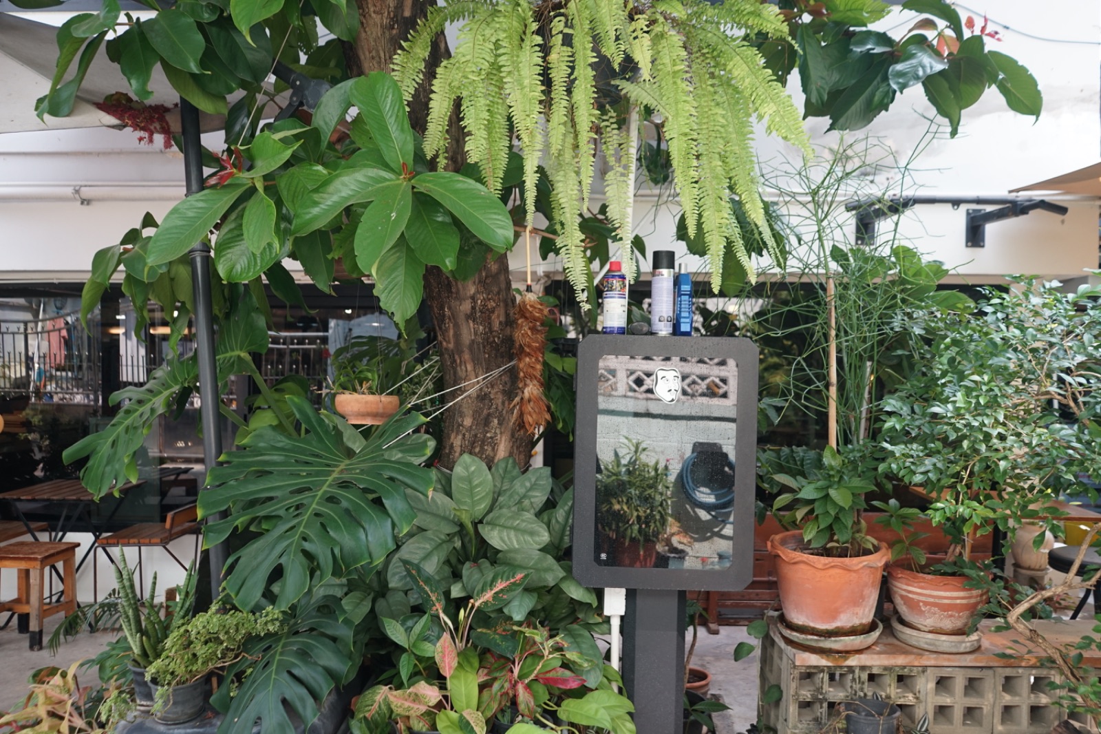 POONYPOONYCOFFEE ambiance image 2