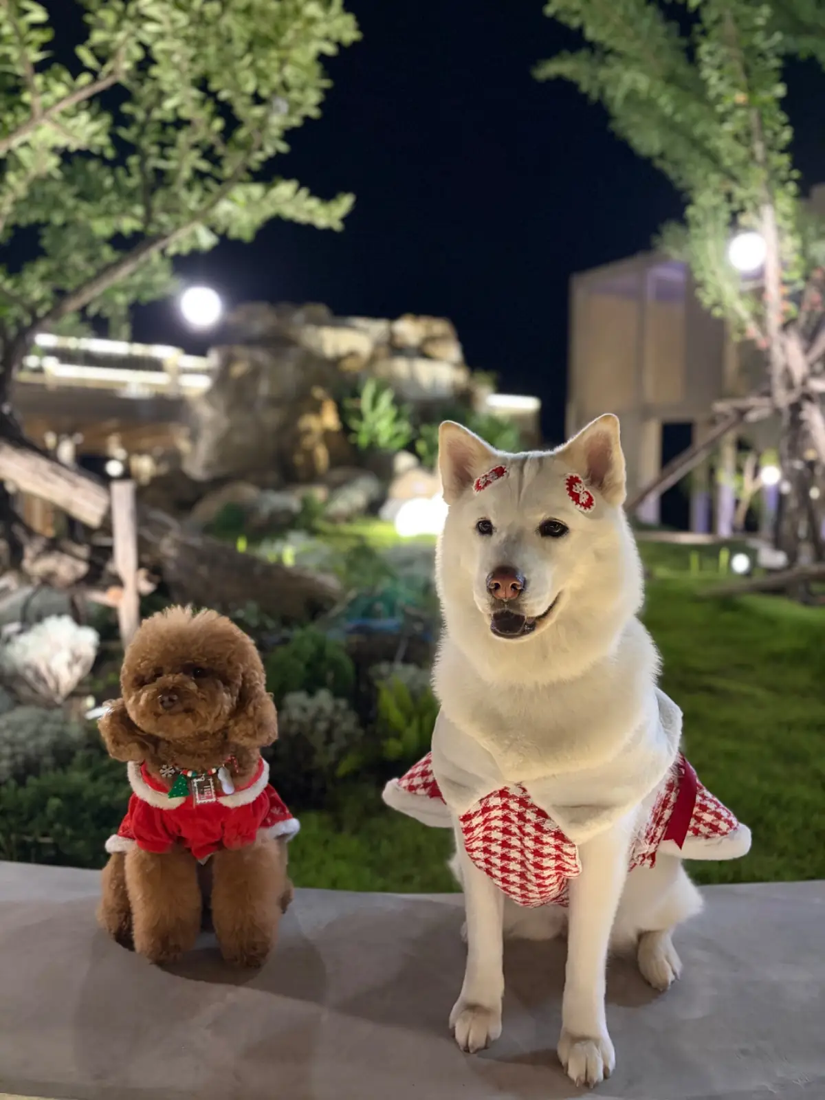 PRAKAI Cafe other image 1