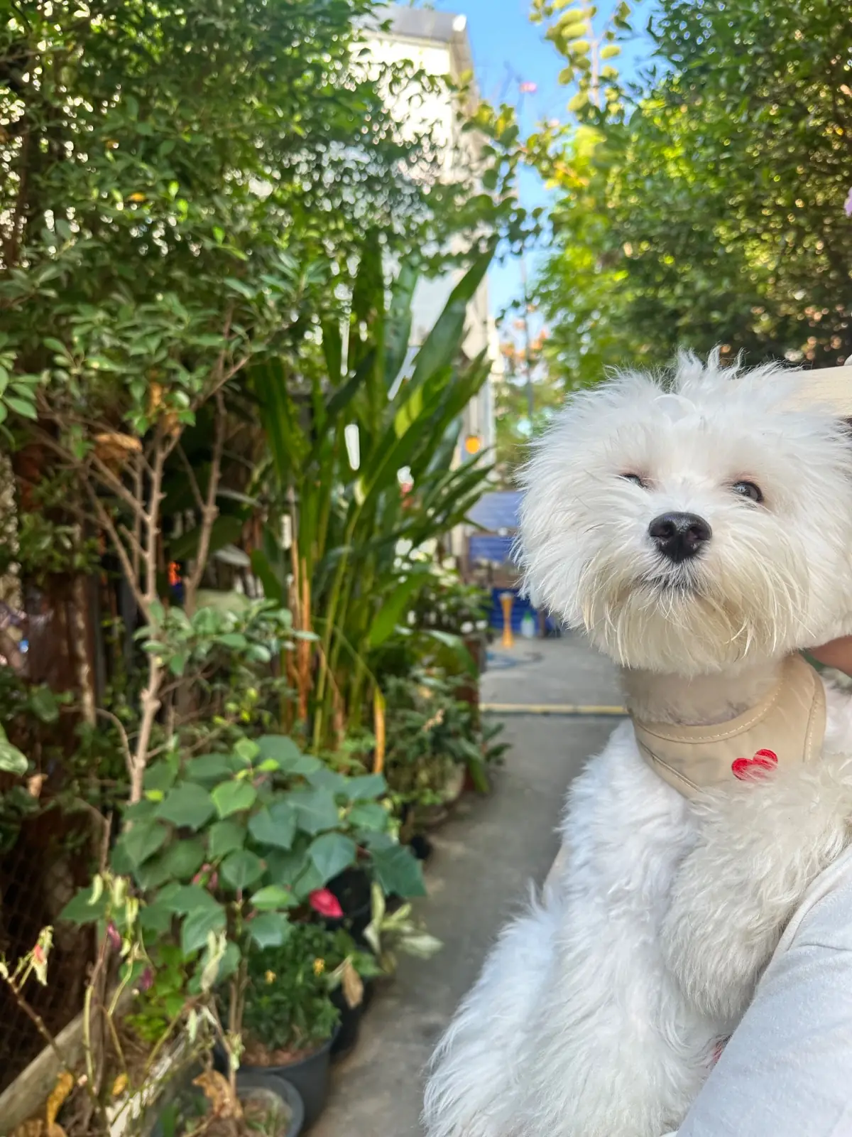 Phop Na Specialty Coffee & Roastery pets image 1