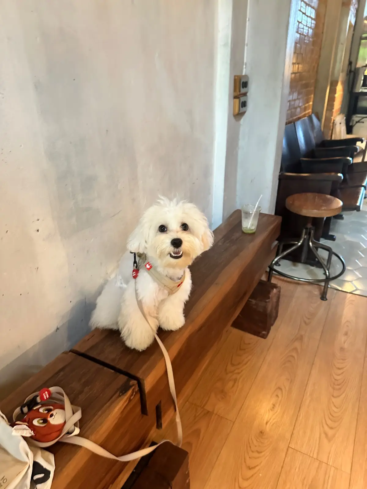 Phop Na Specialty Coffee & Roastery pets image 2