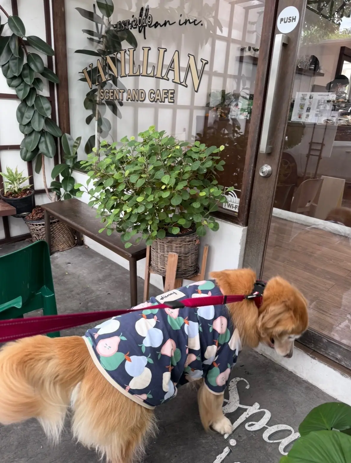 Vanillian Scent and Cafe pets image 4