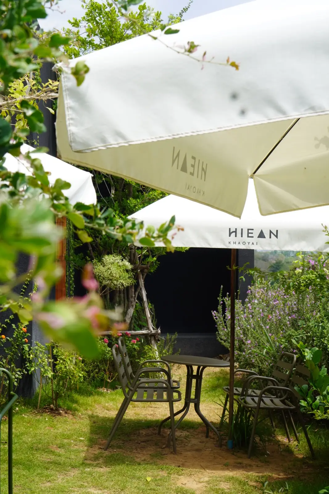 Hiean Khaoyai overall image 2