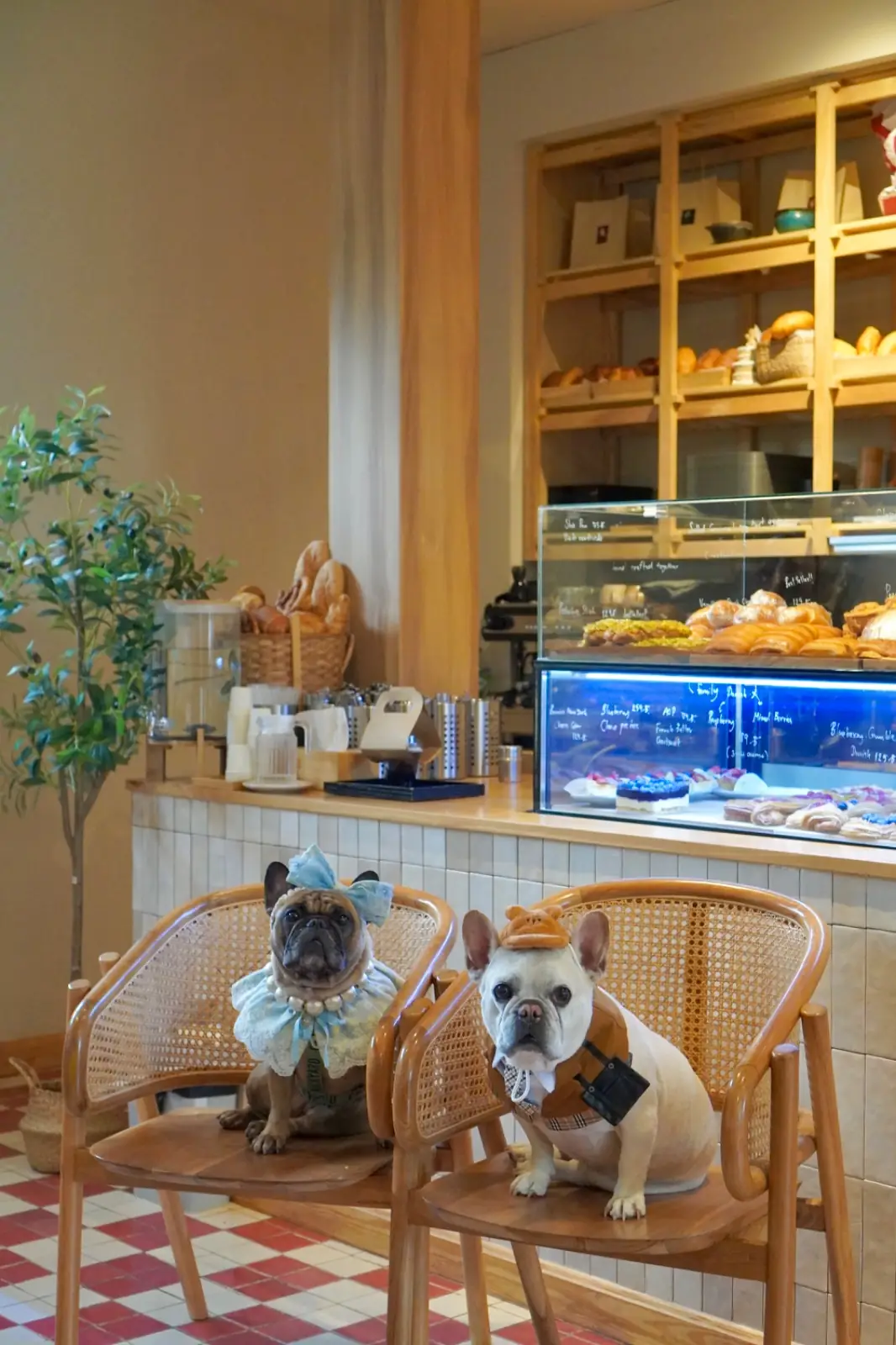 Hiean Khaoyai pets image 2