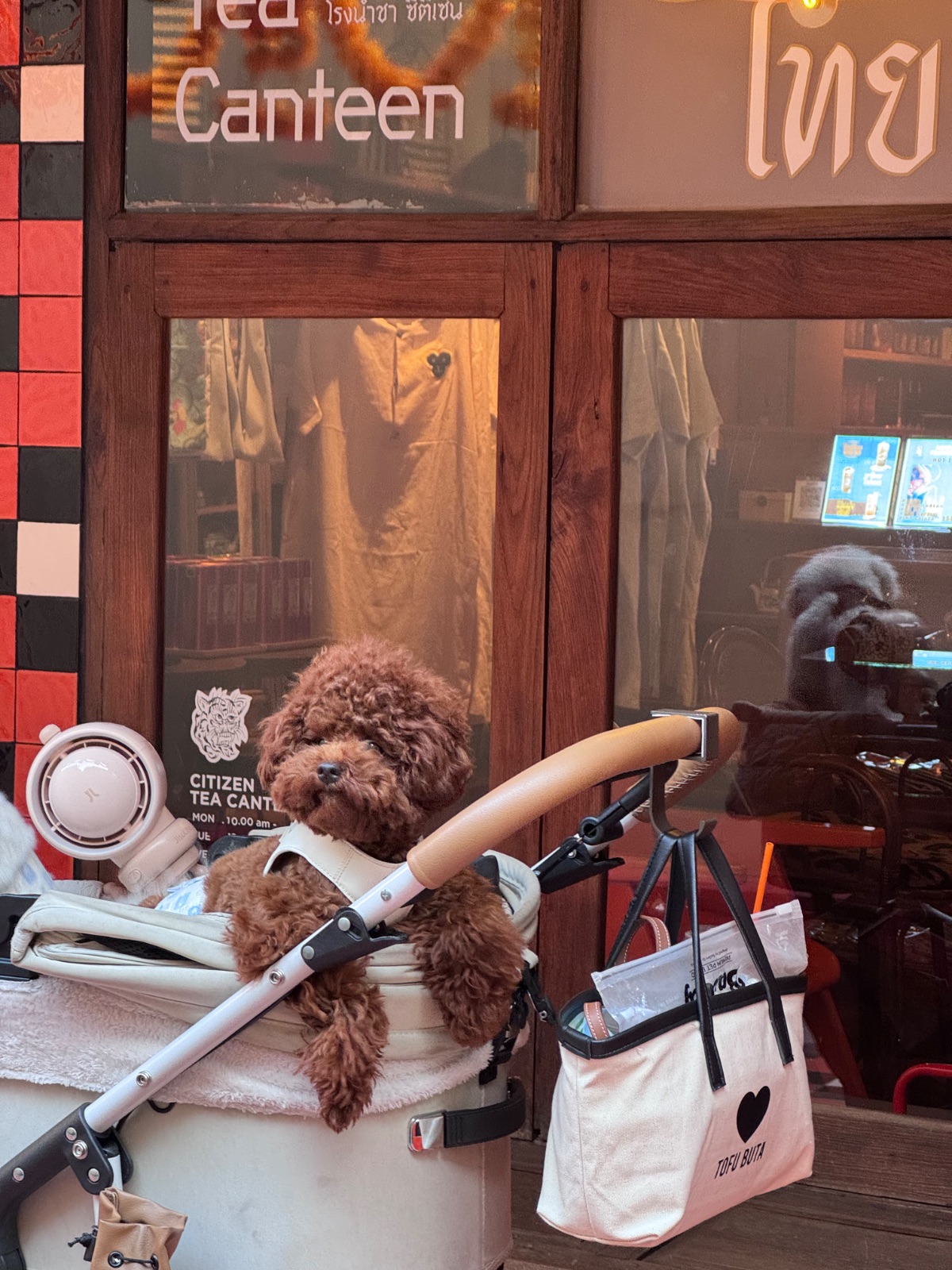 Citizen Tea Canteen pets image 1