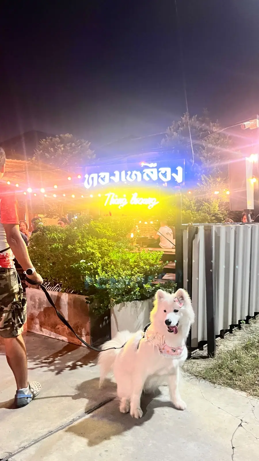 บ้านทองเหลือง หมูกะทะ overall image 2