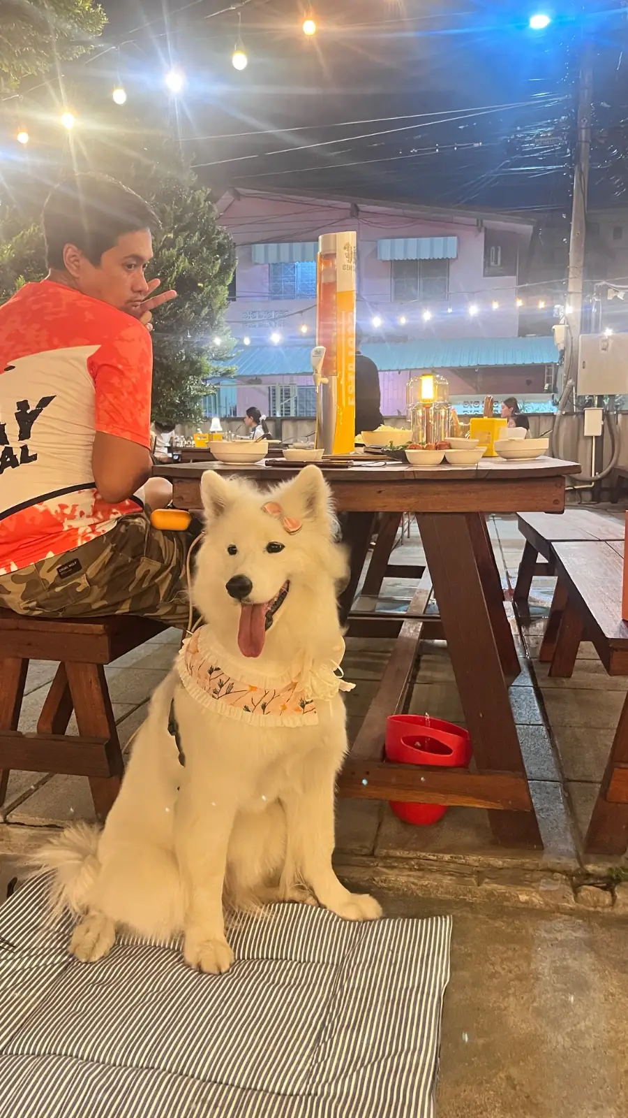 บ้านทองเหลือง หมูกะทะ pets image 1