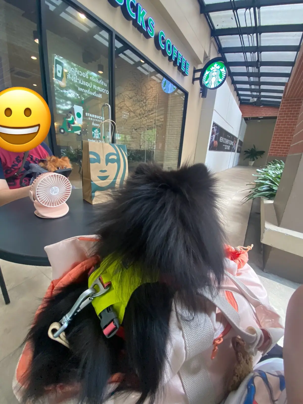 Starbuck - PTT Chaiyapruk hero image 2