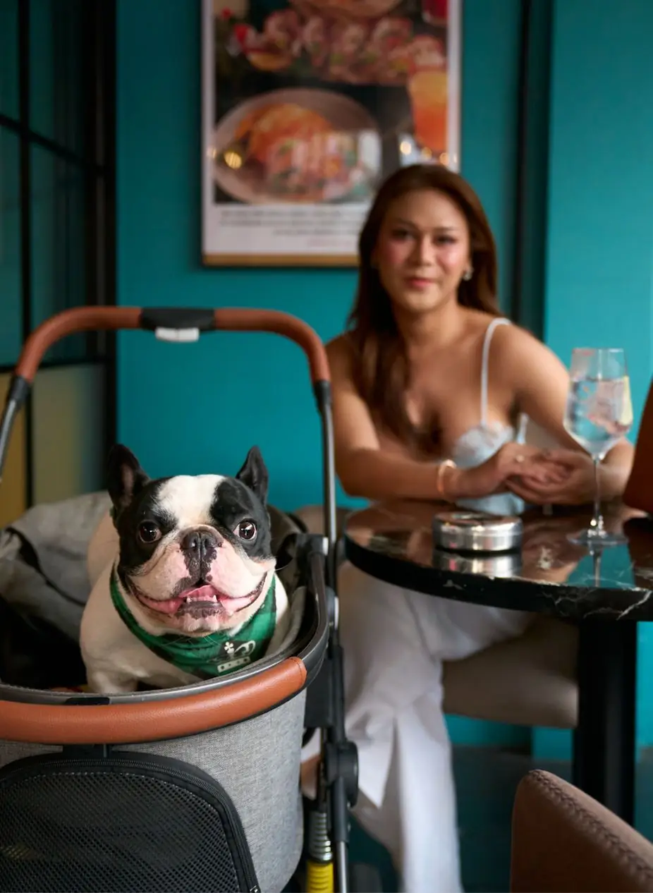 The Sudo Social pets image 1