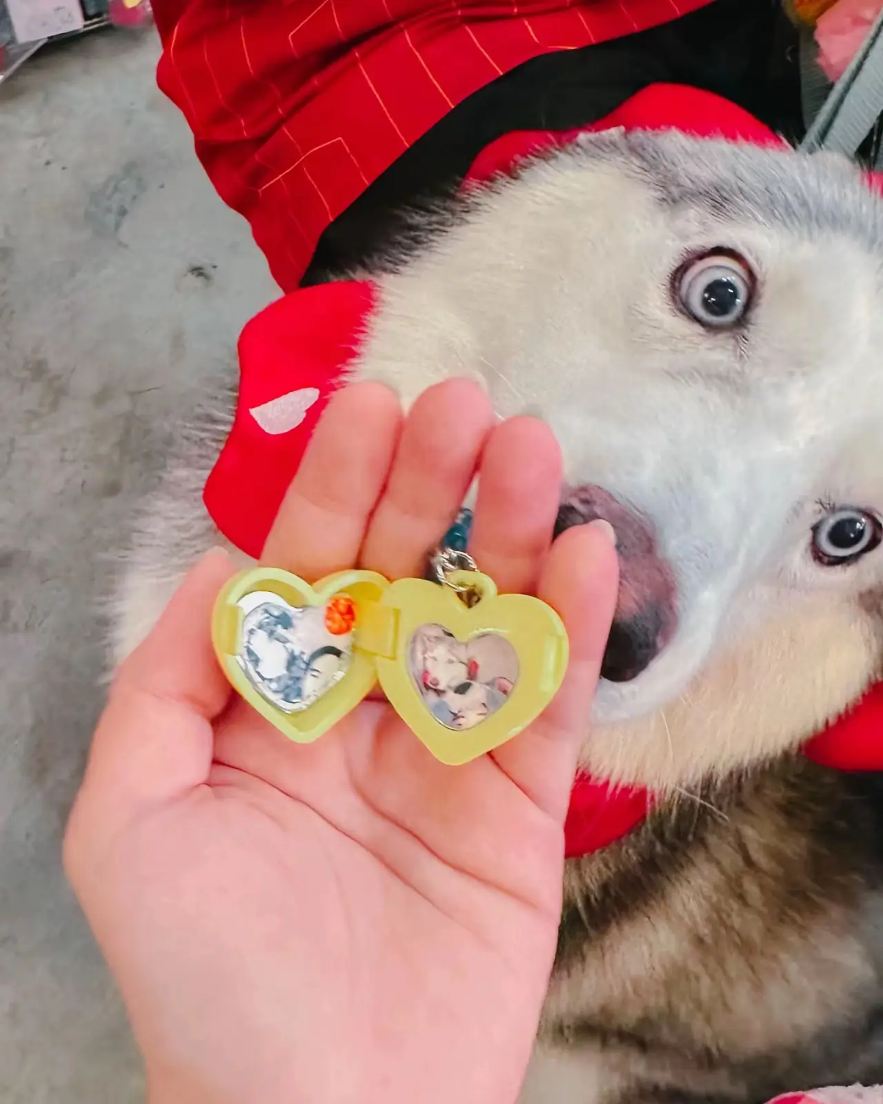 CHUMCHUM GROCERY other image 2