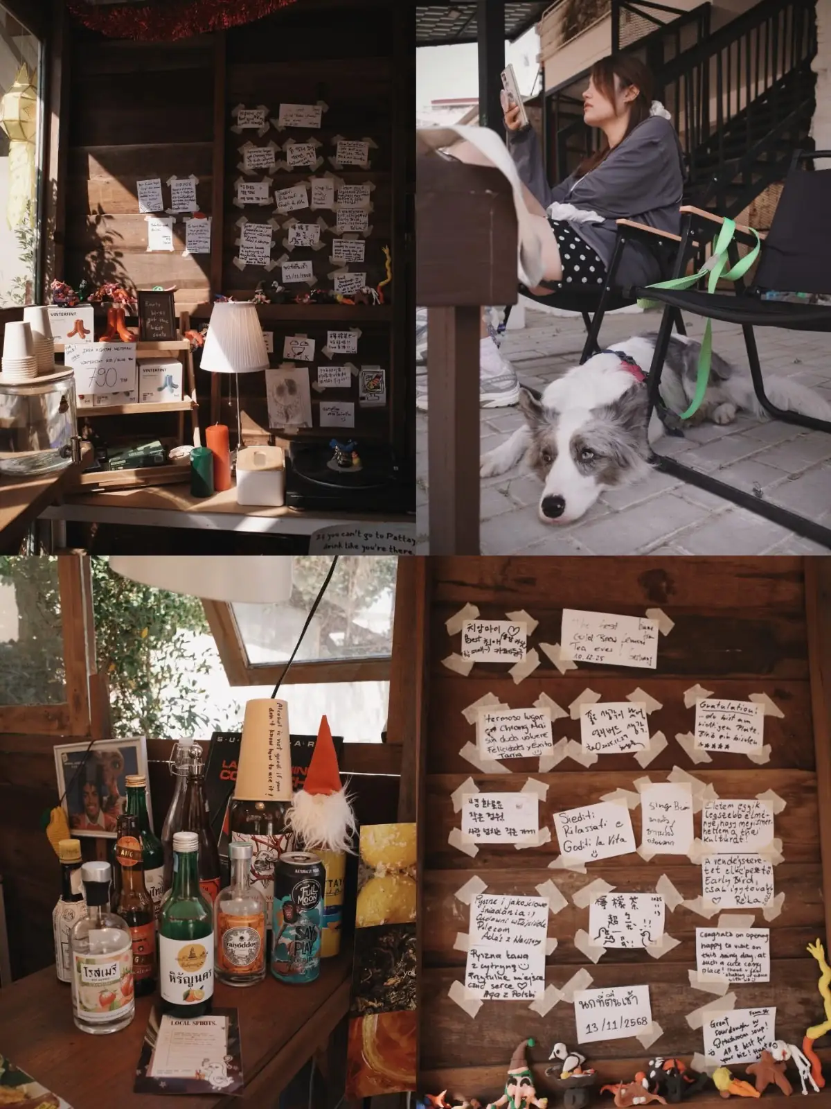 นกที่ตื่นเช้า other image 1