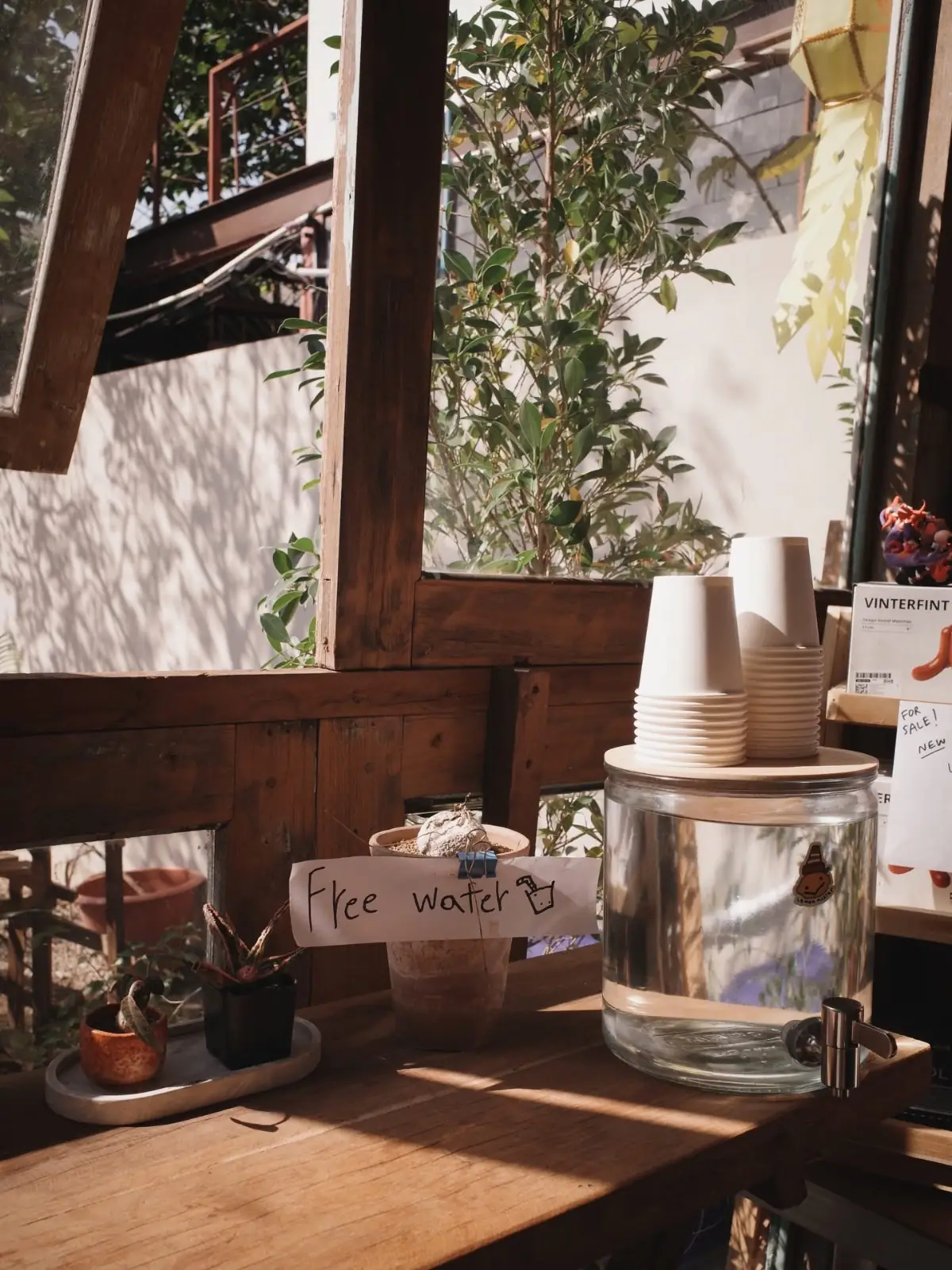 นกที่ตื่นเช้า overall image 1