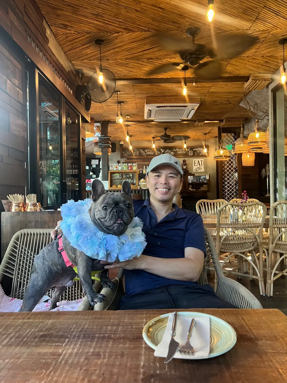 Treehouse Cafe & Bar other image 1