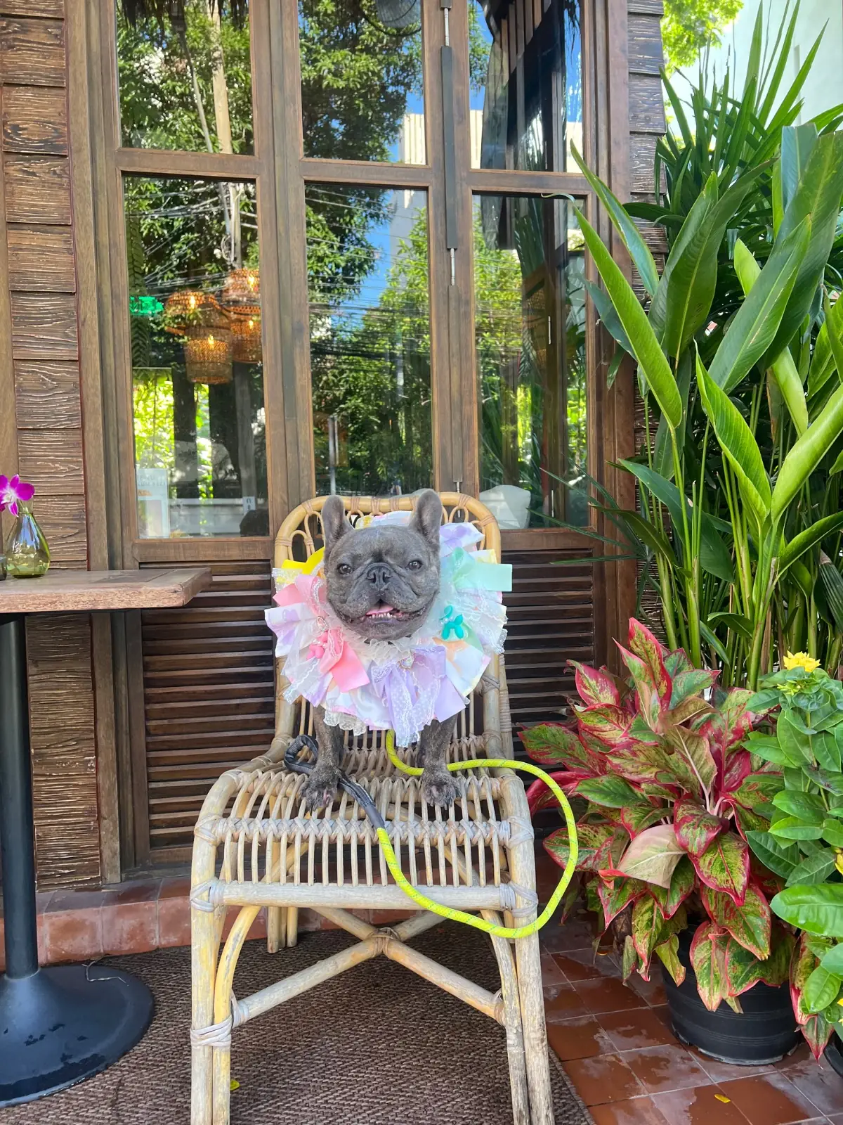 Treehouse Cafe & Bar other image 2