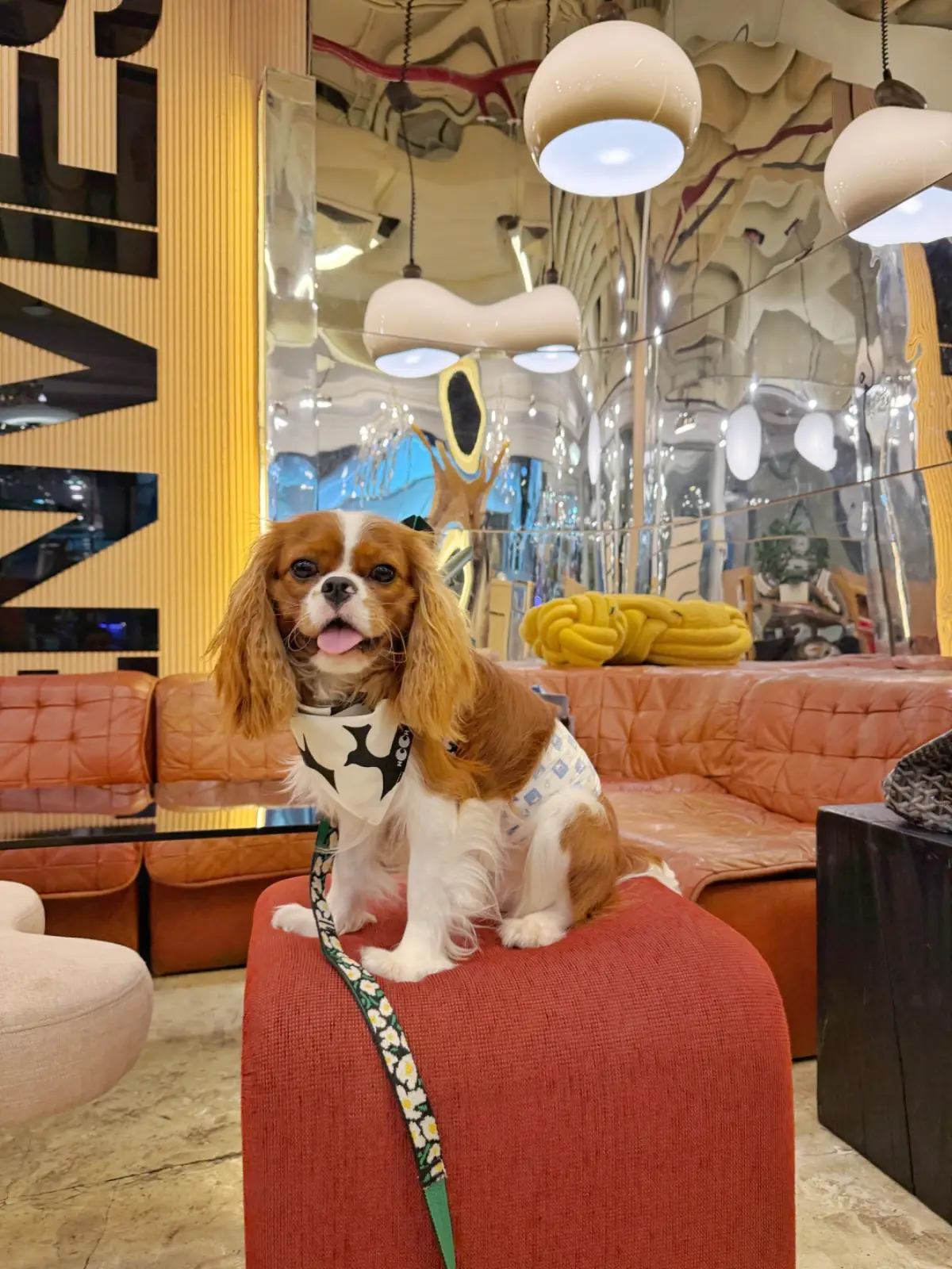 Envies cafe - Trinity Complex other image 1