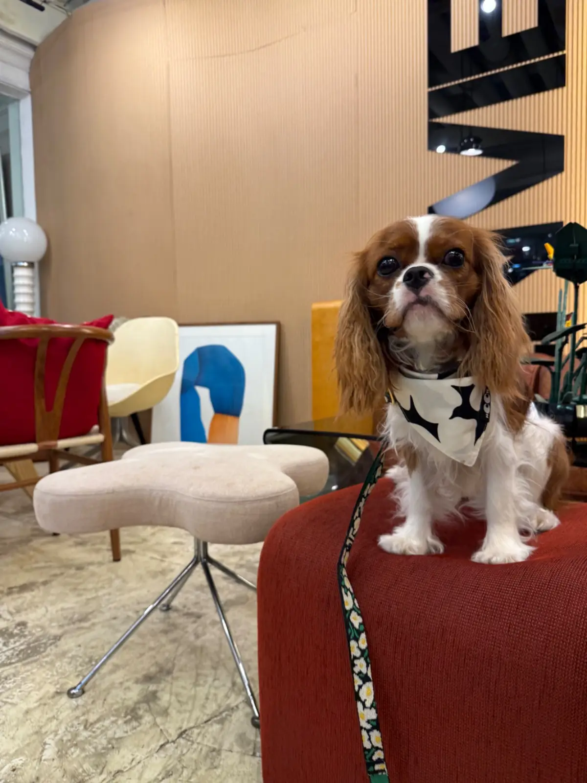 Envies cafe - Trinity Complex other image 2