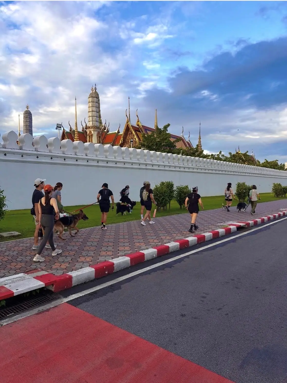 Sanam Luang pets image 4
