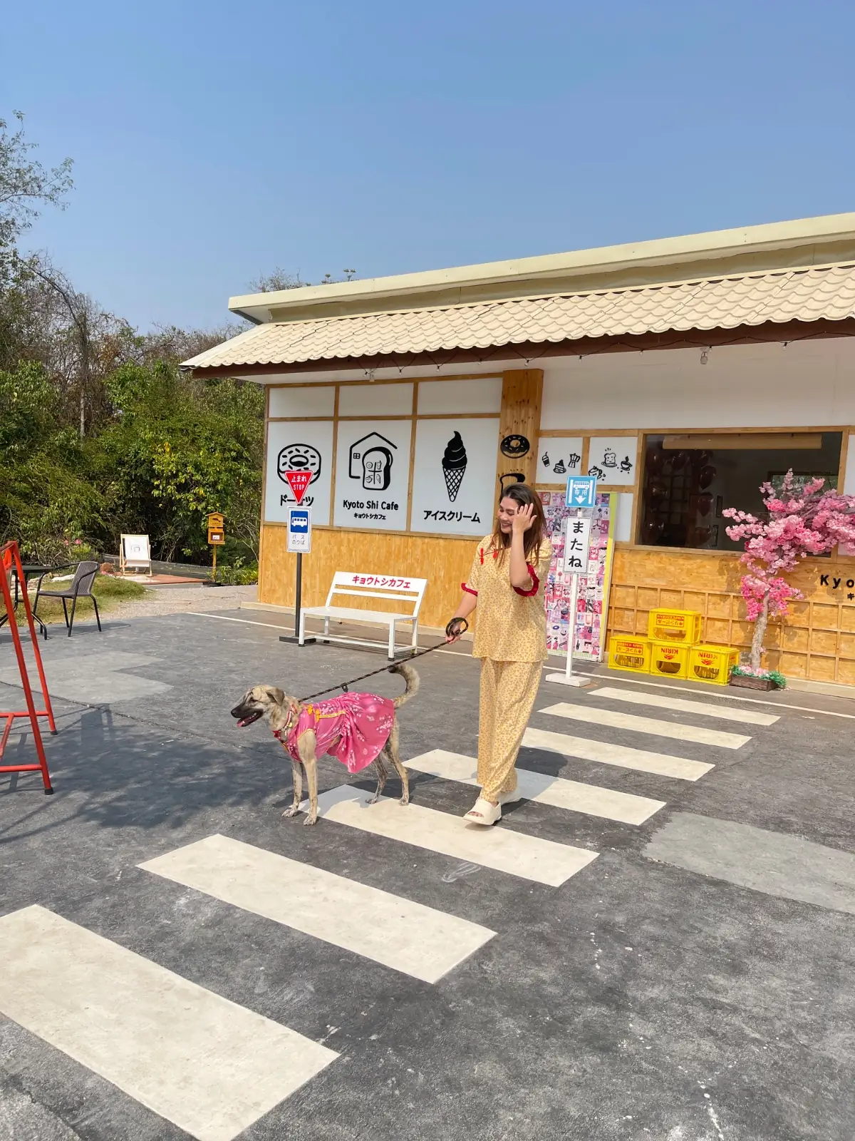 Kyoto Shi Cafe - นครปฐม ambiance image 2