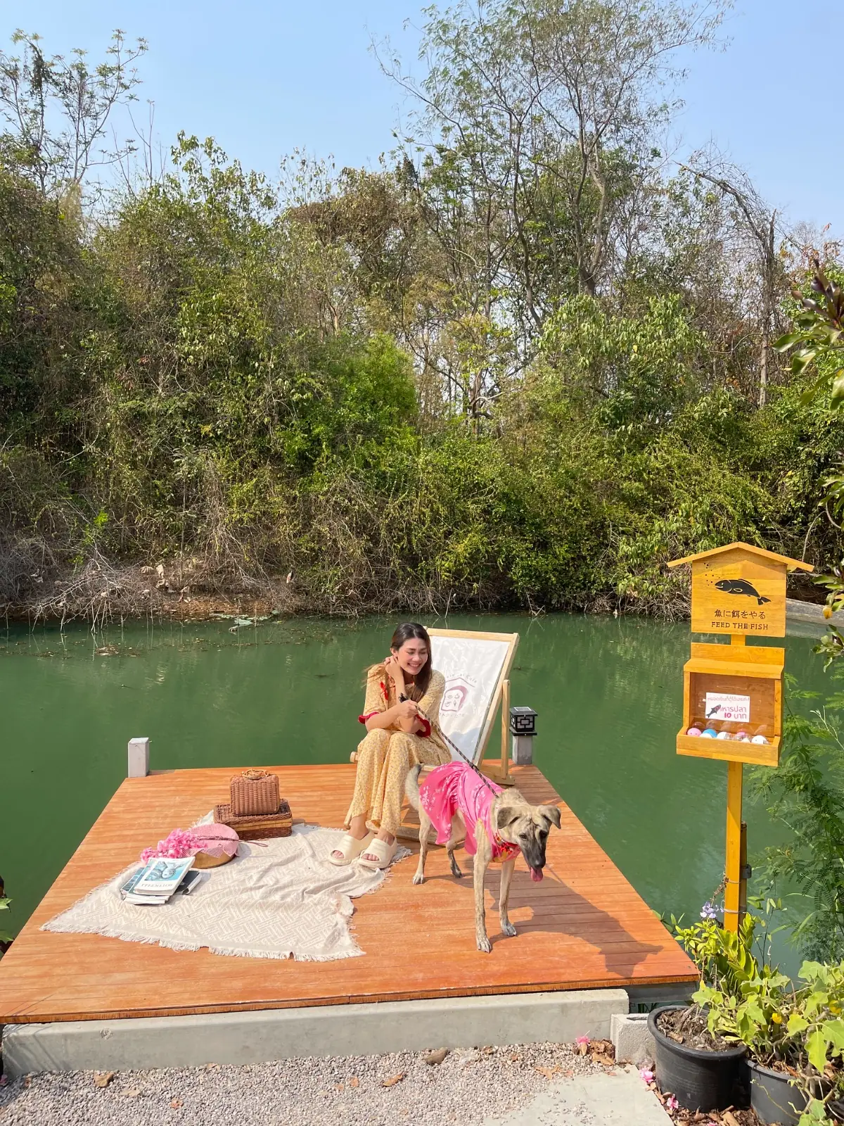 Kyoto Shi Cafe - นครปฐม ambiance image 3