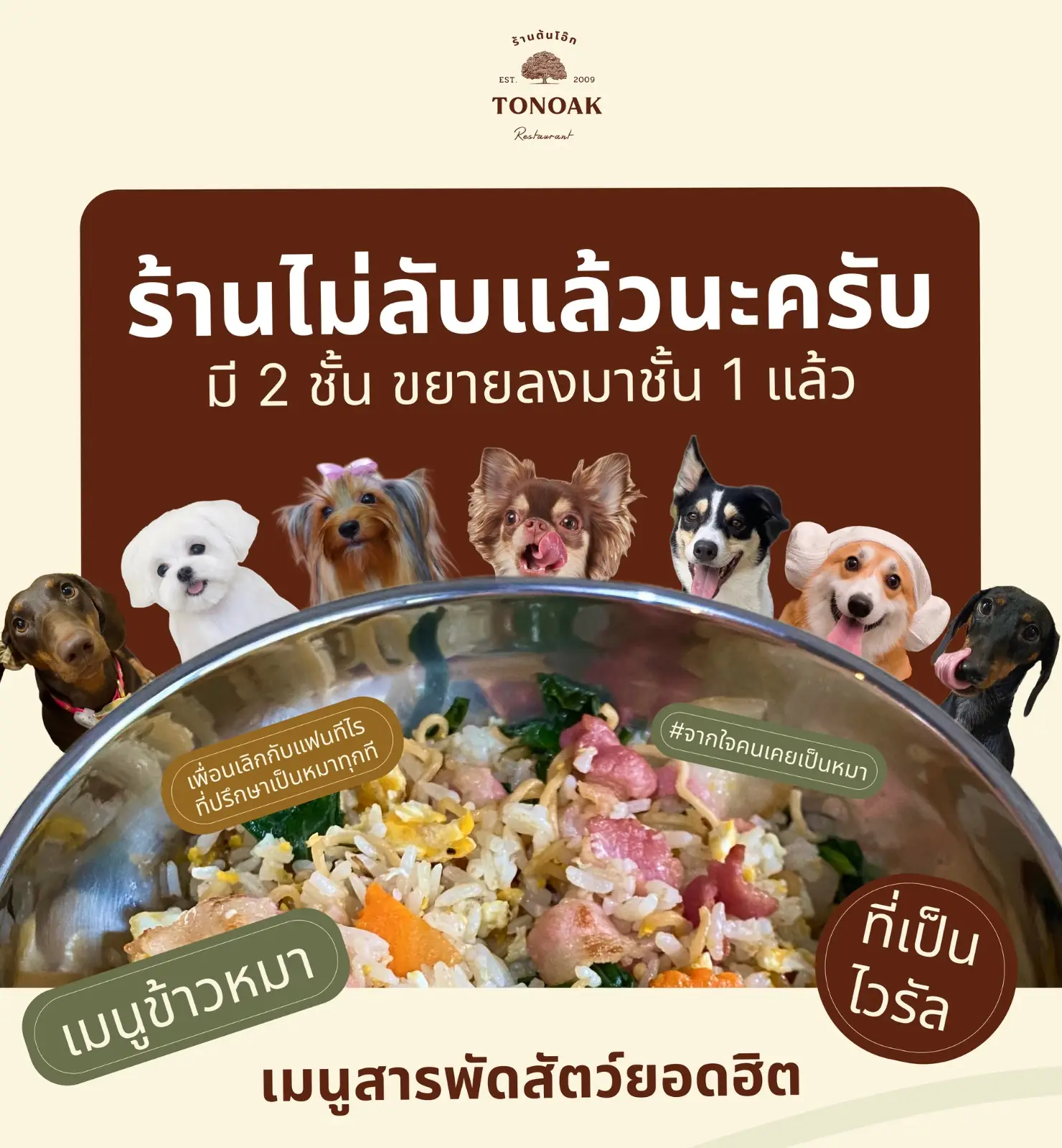 ต้นโอ๊ก food image 6