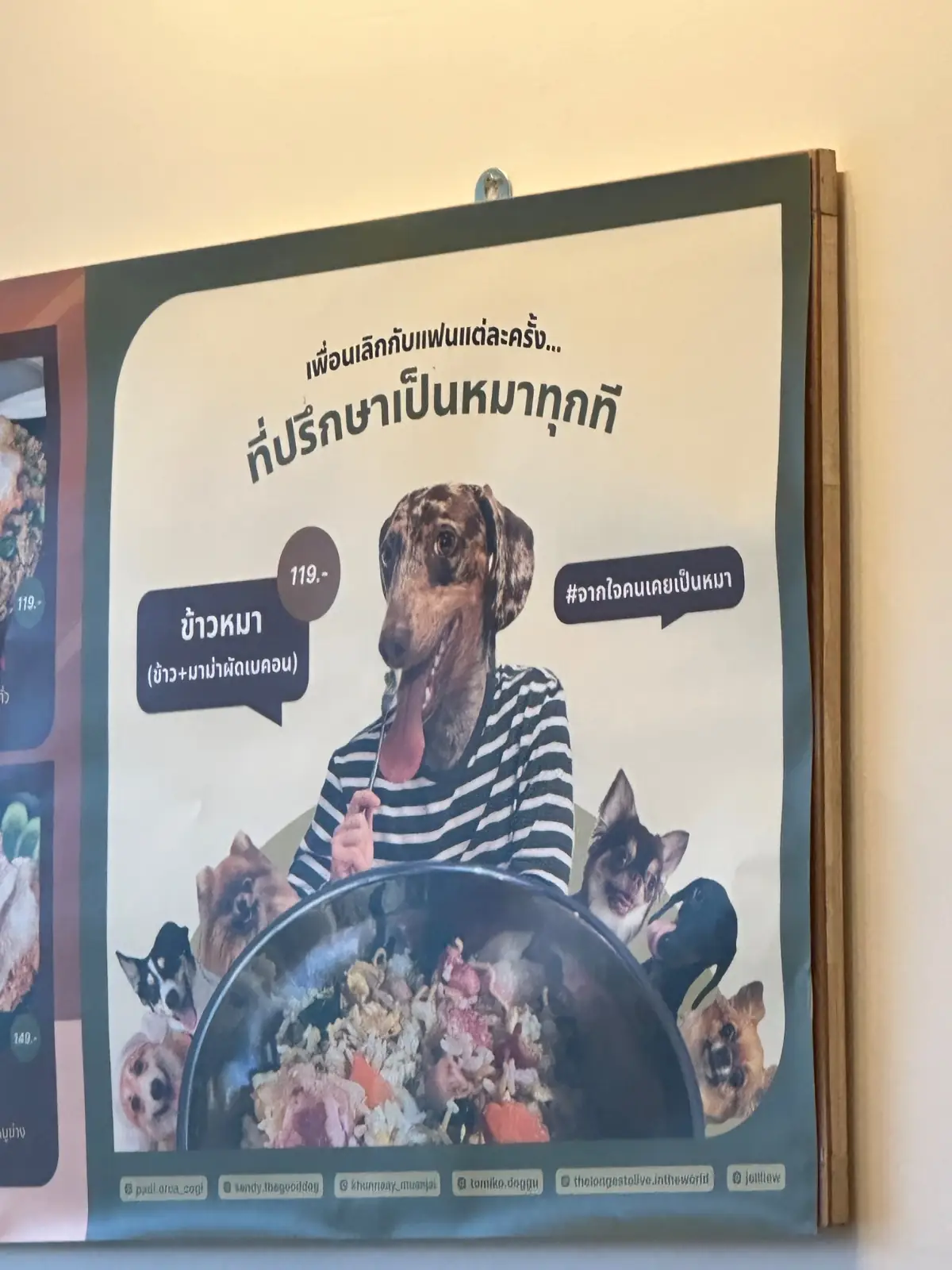 ต้นโอ๊ก other image 2