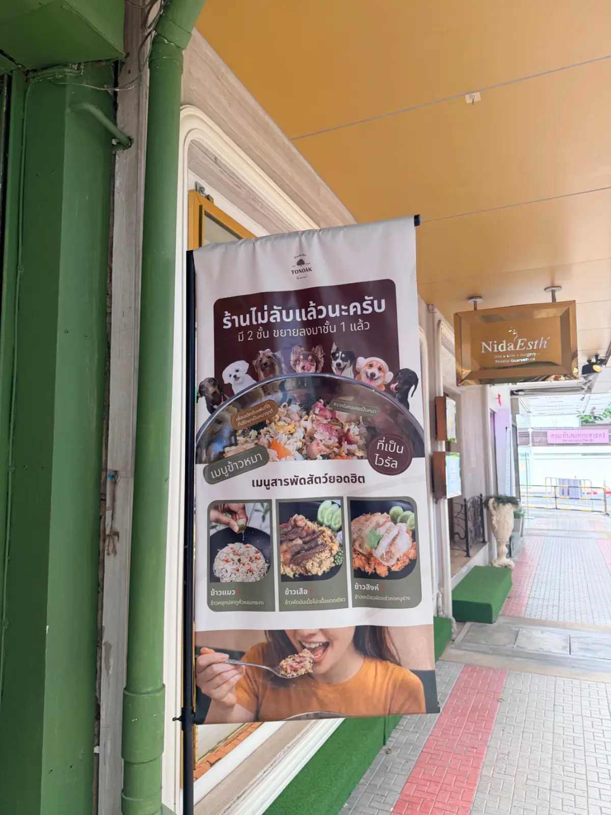 ต้นโอ๊ก other image 3