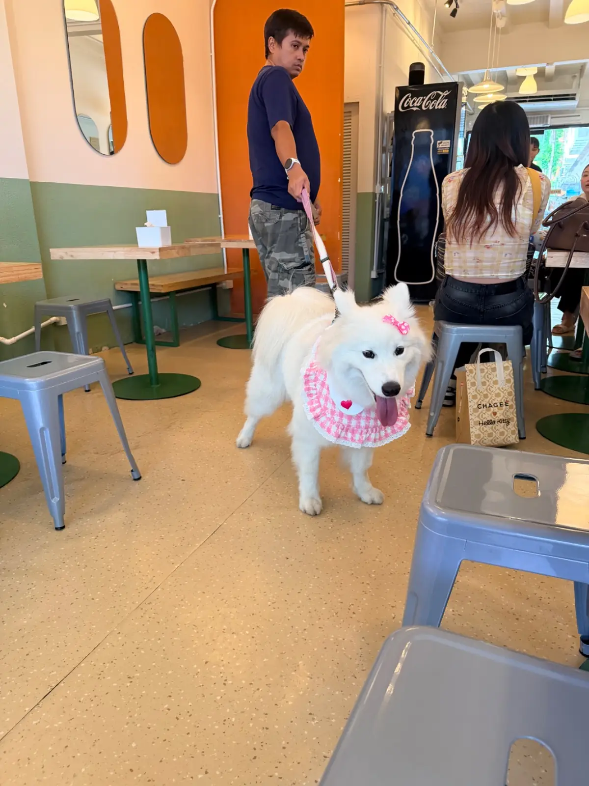 ต้นโอ๊ก pets image 22