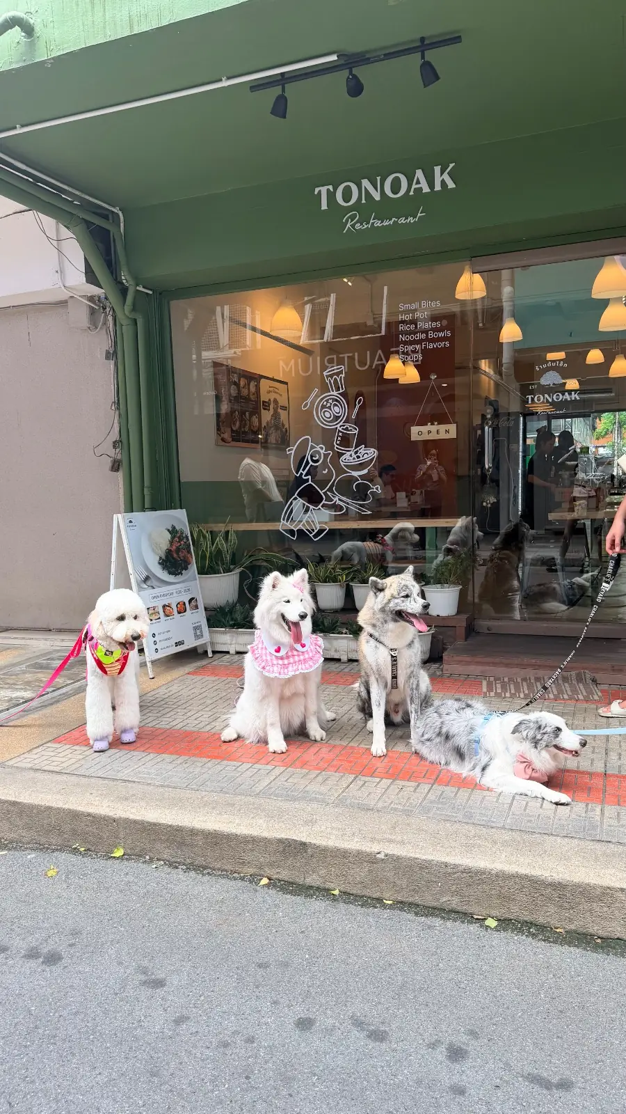 ต้นโอ๊ก pets image 20