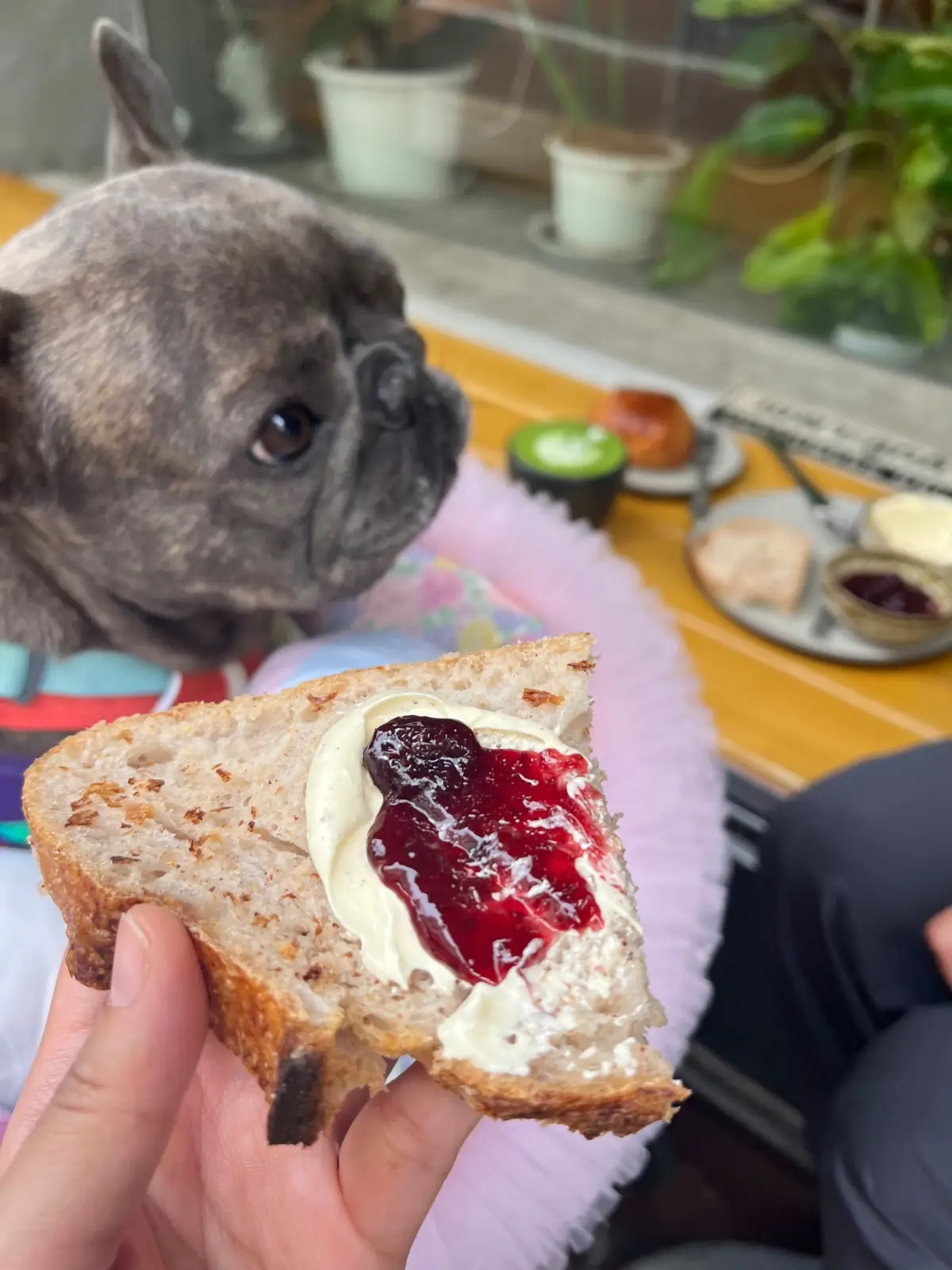 La Cabra Bakery other image 7