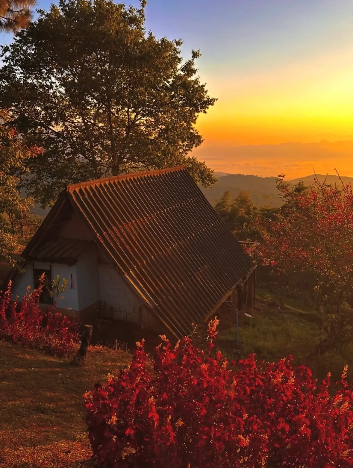 ลานกางเต็นท์ สันป่าเกี๊ยะ amenities image 1