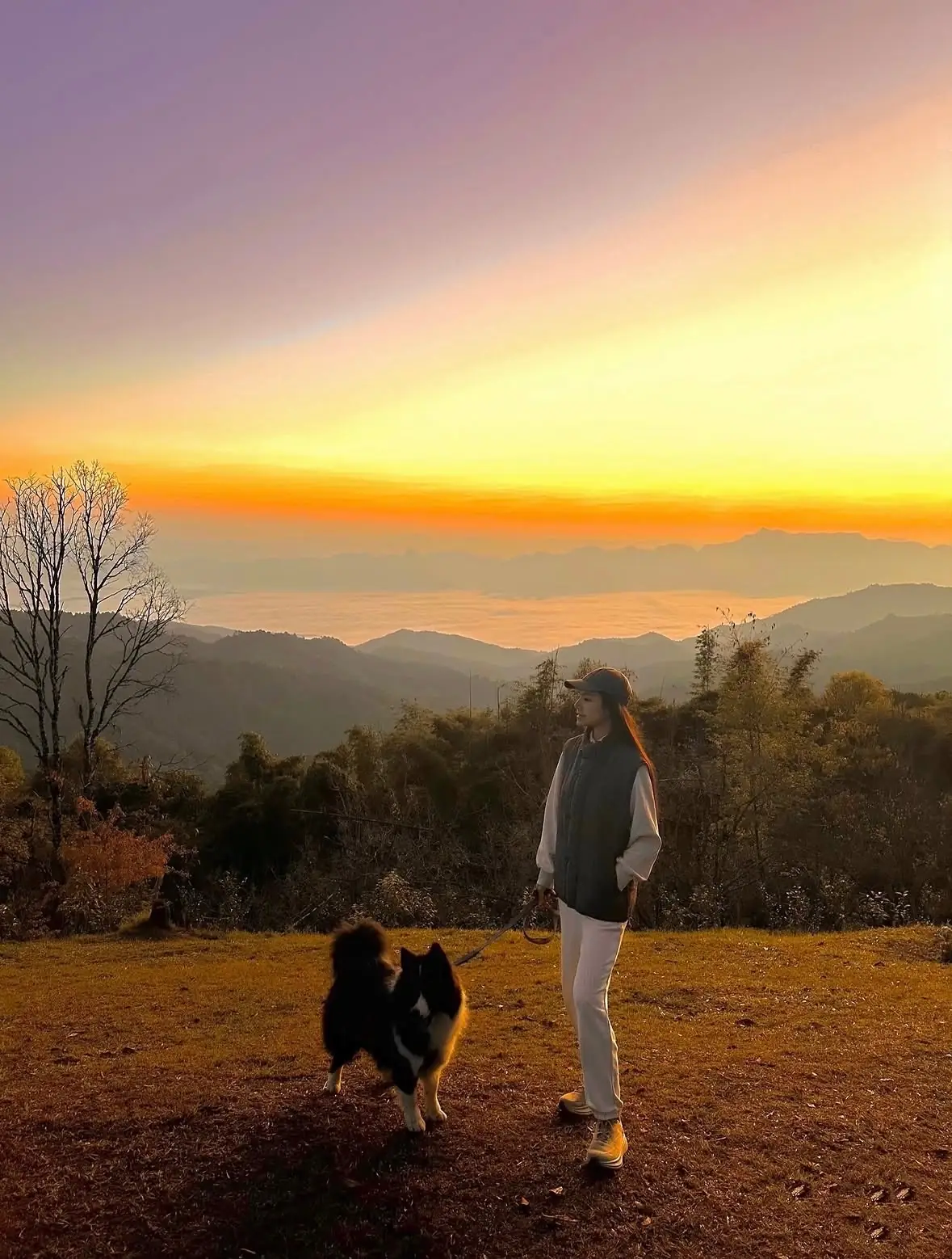 ลานกางเต็นท์ สันป่าเกี๊ยะ pets image 1