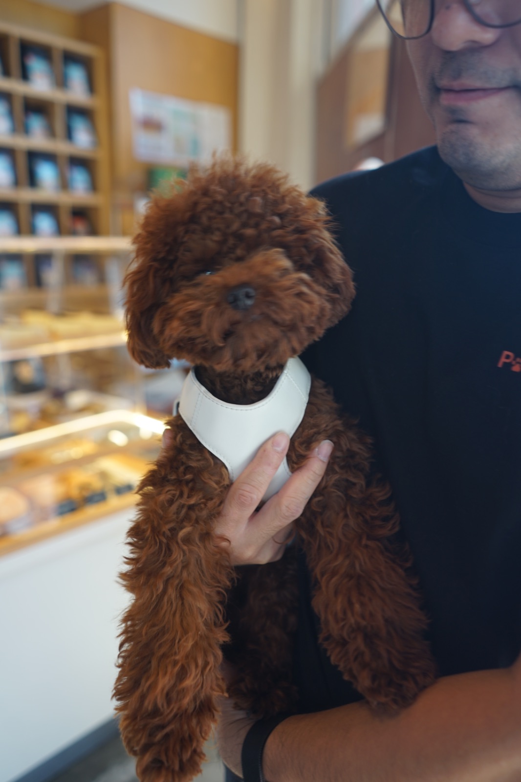 Sunset Coffee Roaster - Talat Noi pets image 2