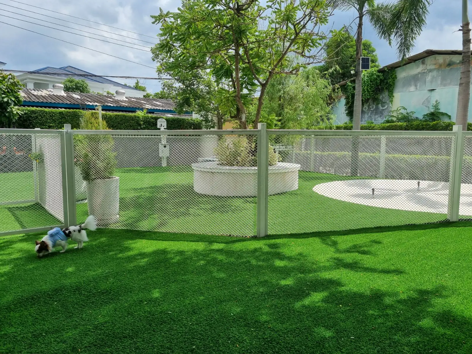 Pawsome Space other image 2